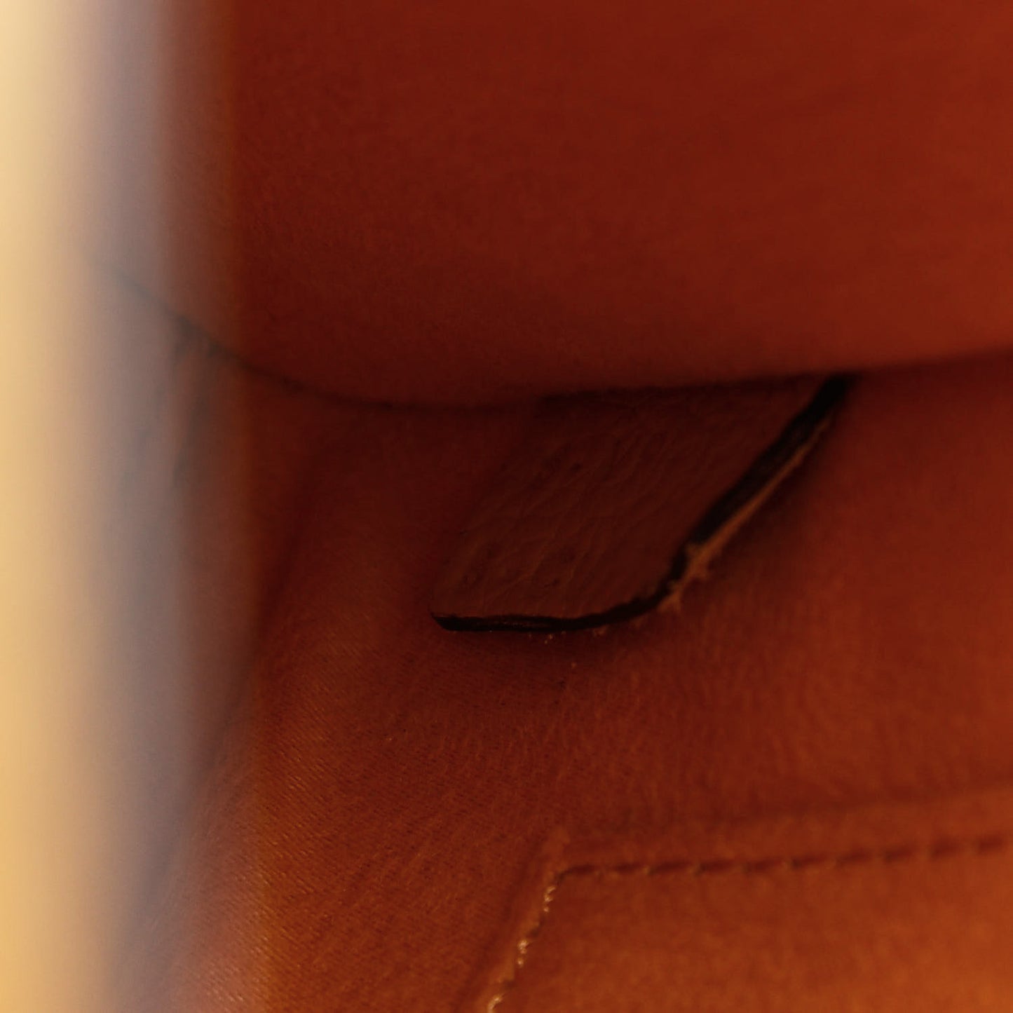 Drummed Calfskin Nano Luggage Ocre