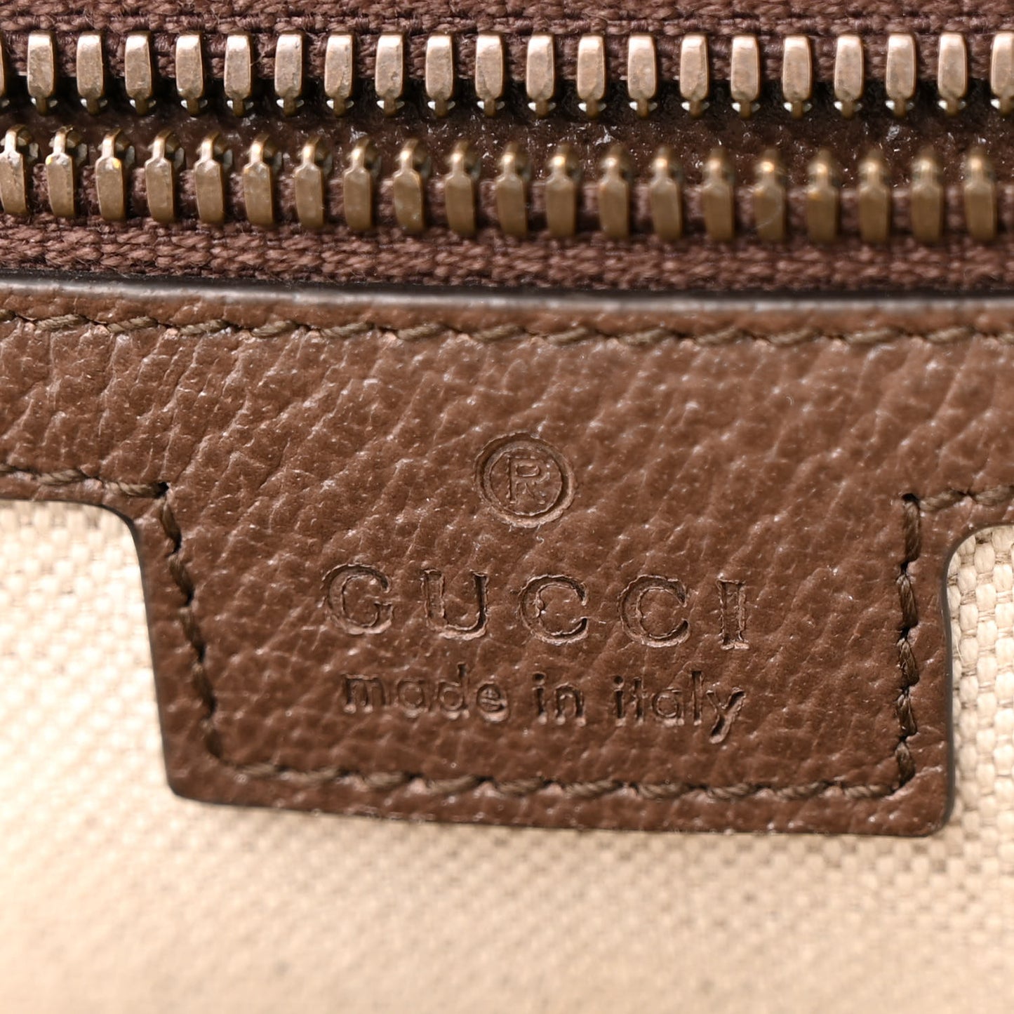 GG Supreme Monogram Medium Ophidia Day Backpack Brown