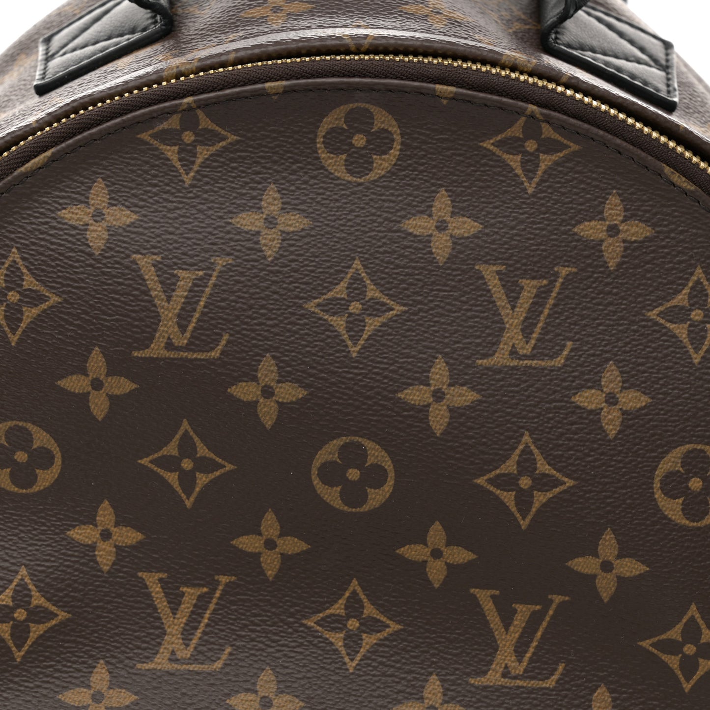 Monogram Palm Springs Backpack MM