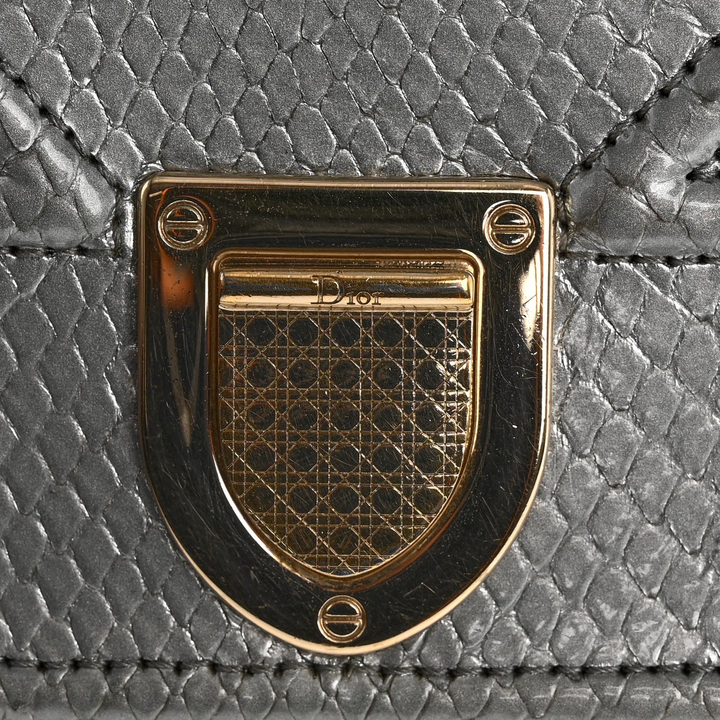 Snakeskin Diorama Wallet on Chain Pouch Silver