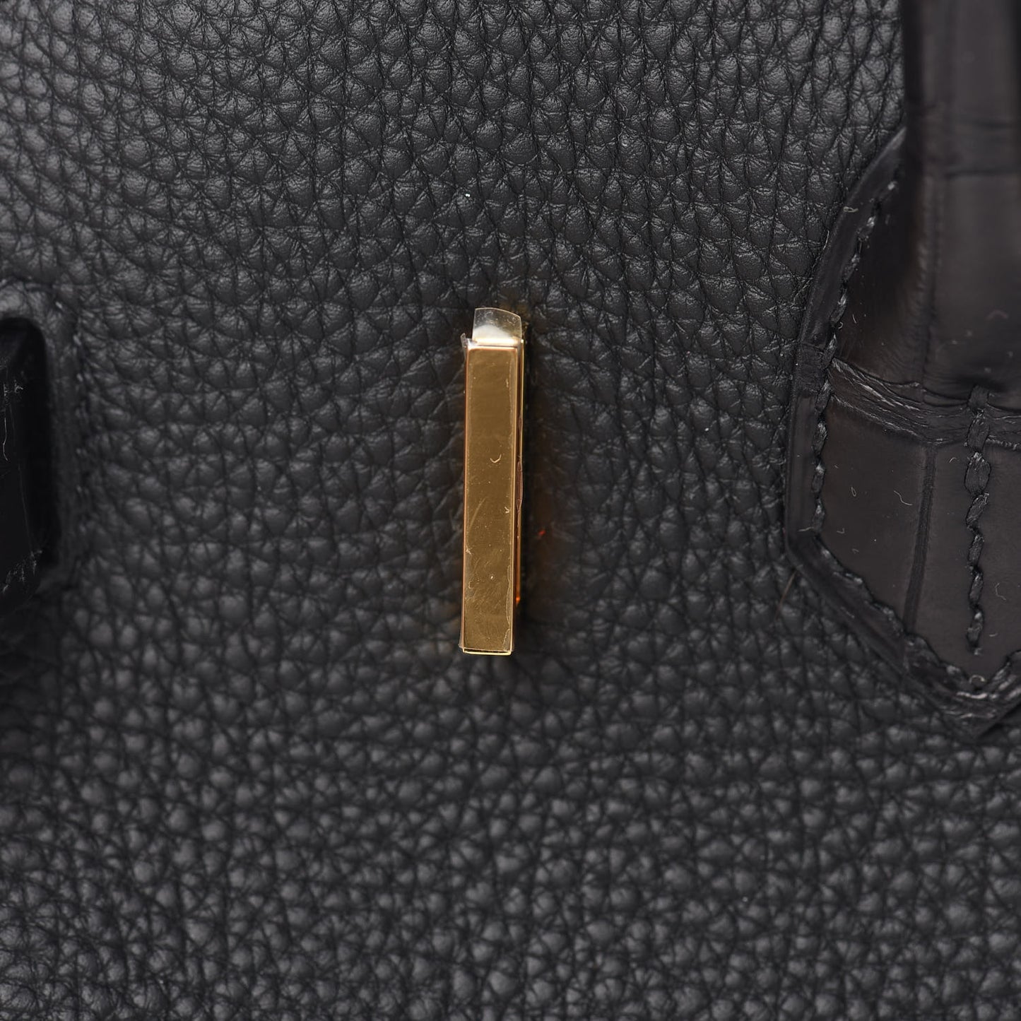 Togo Matte Alligator Birkin Touch 30 Black