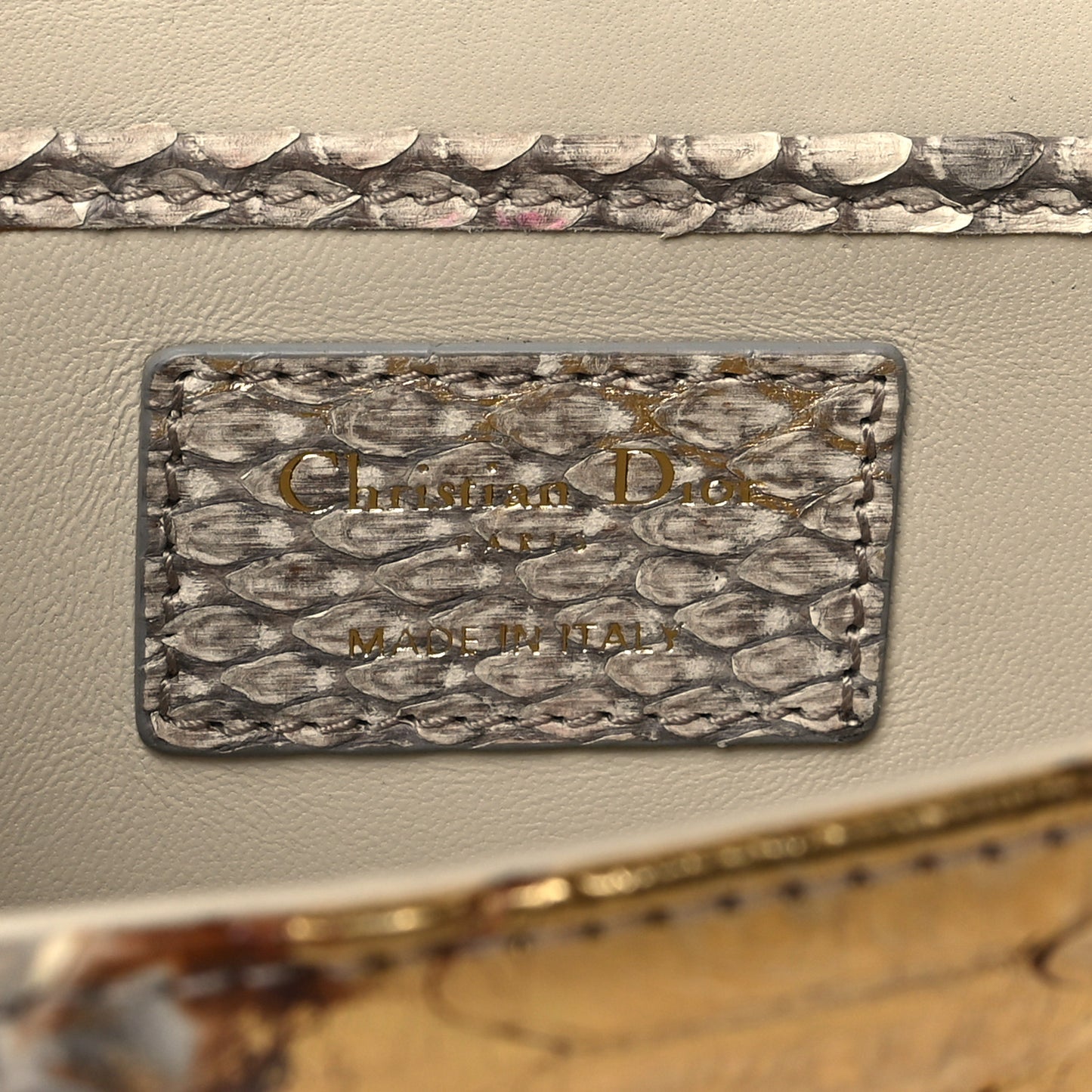Metallic Snakeskin Lady Dior Croisiere Chain Clutch Beige Gold