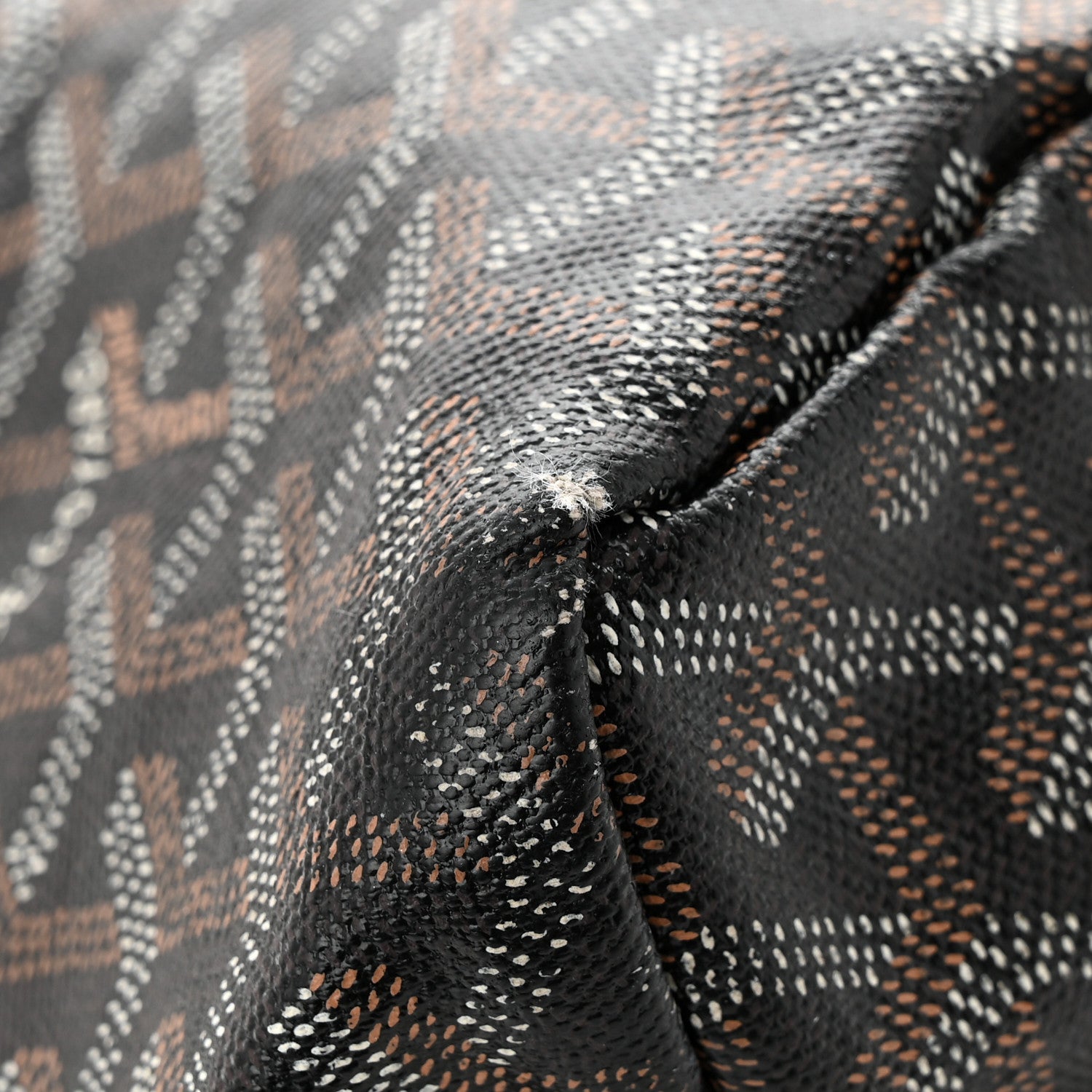 Goyard Goyardine Saint Louis GM Black 13 of 15