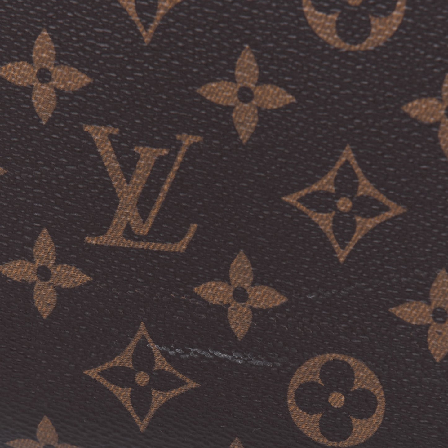 Monogram Horizon 55