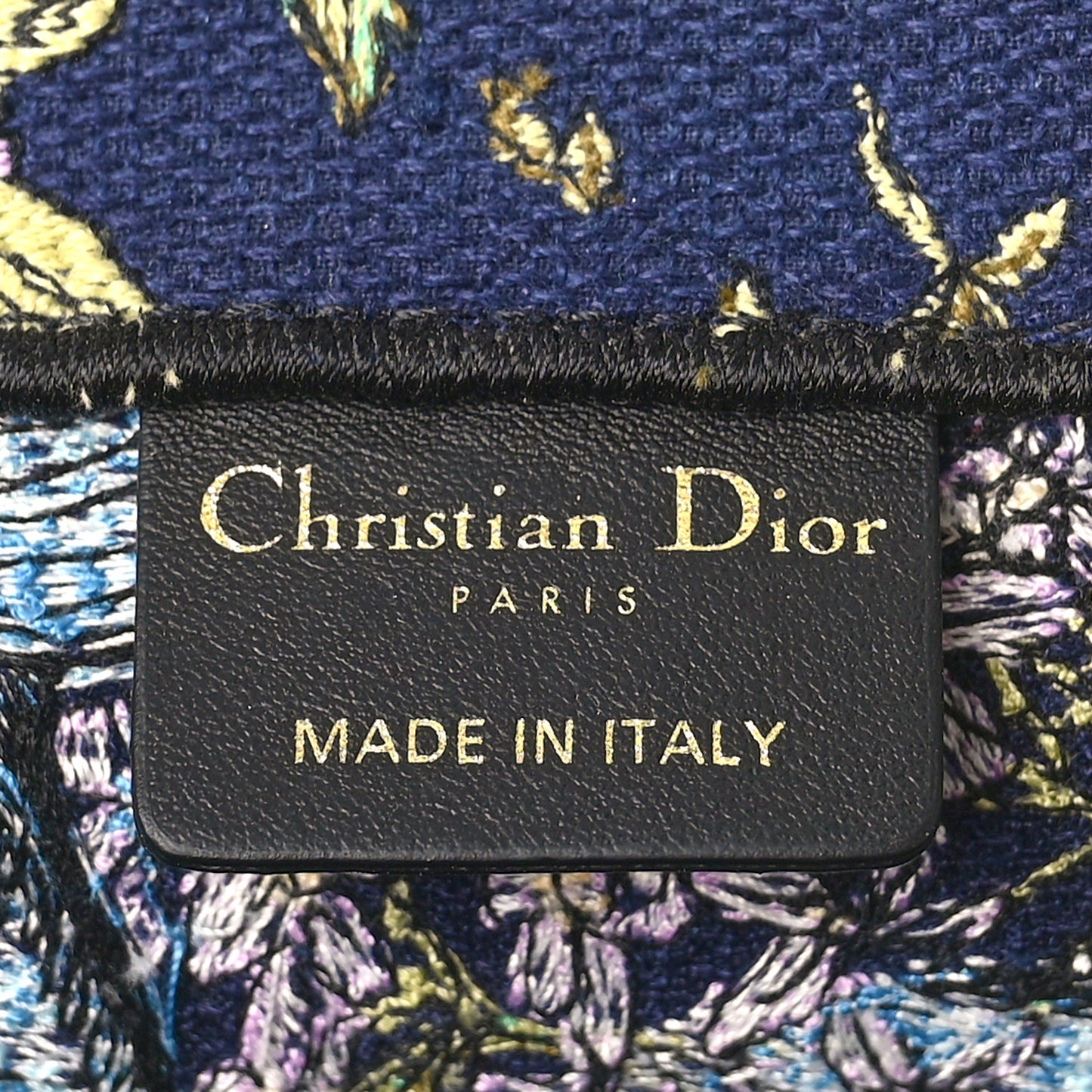 Canvas Embroidered Large D-Constellation Book Tote Blue Multicolor