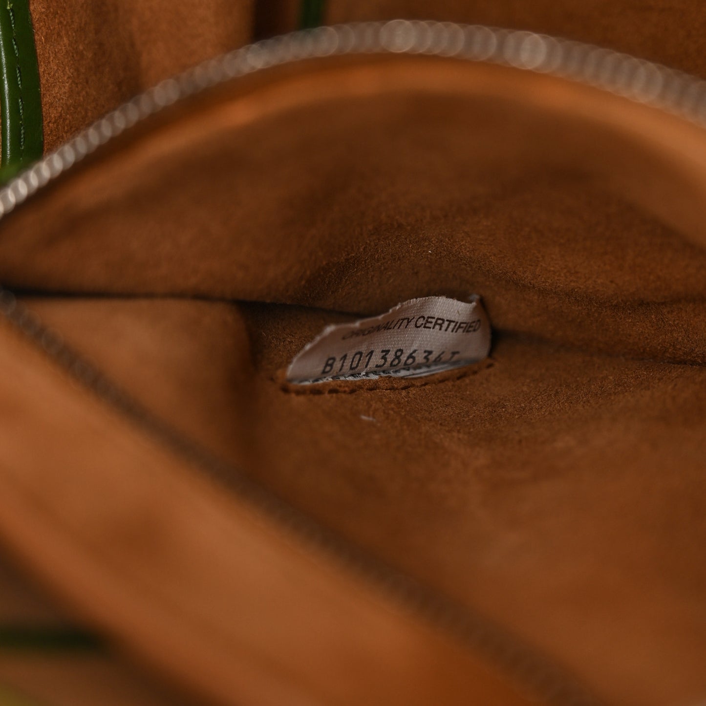 Paper Calfskin Maxi Intreccio Medium Arco Camera Bag Avocado
