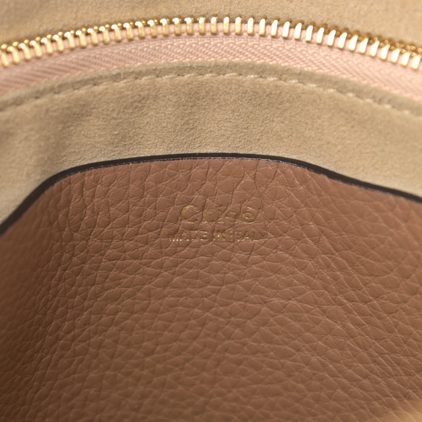 Grained Calfskin Small Hayley Hobo Nut