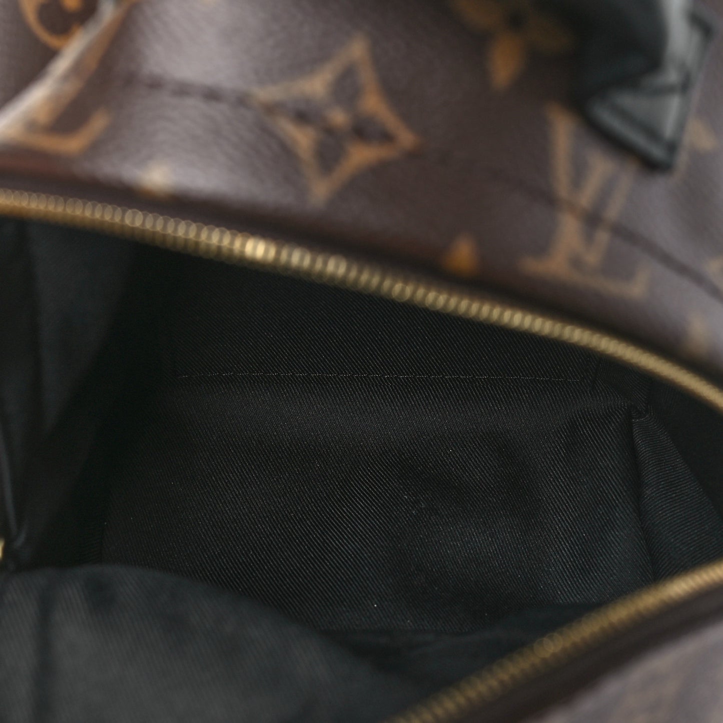Monogram Palm Springs Backpack Mini