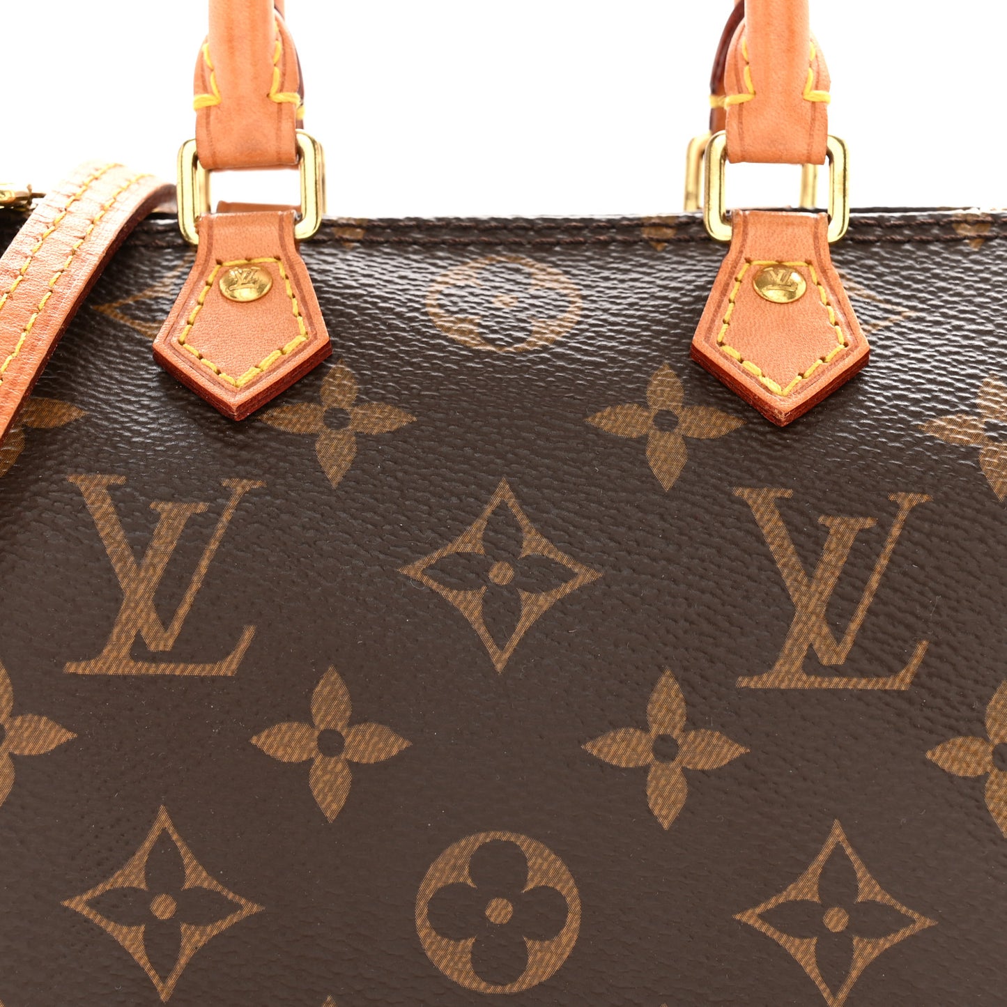Monogram Nano Speedy