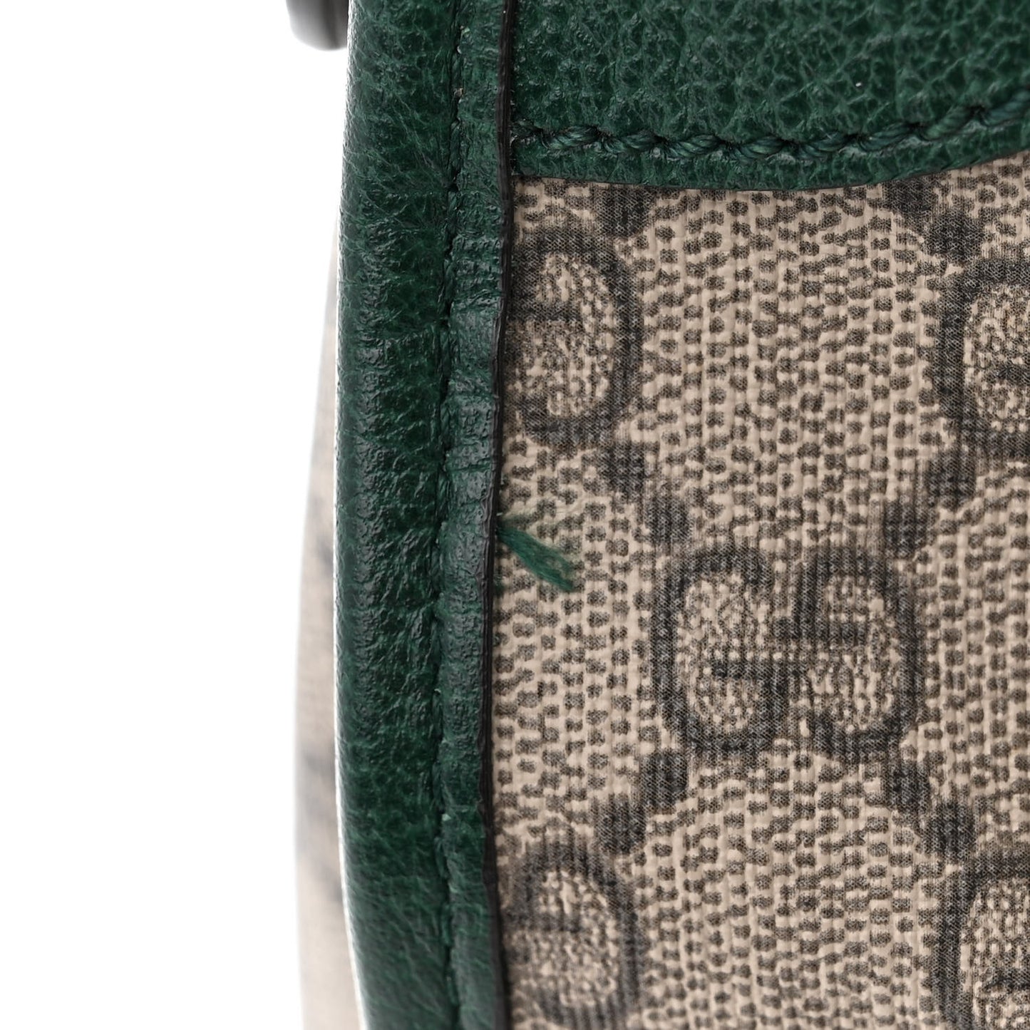 Soft GG Supreme Monogram Neo VintageWeb Skull Medium Duffle Bag Beige New Acero Green