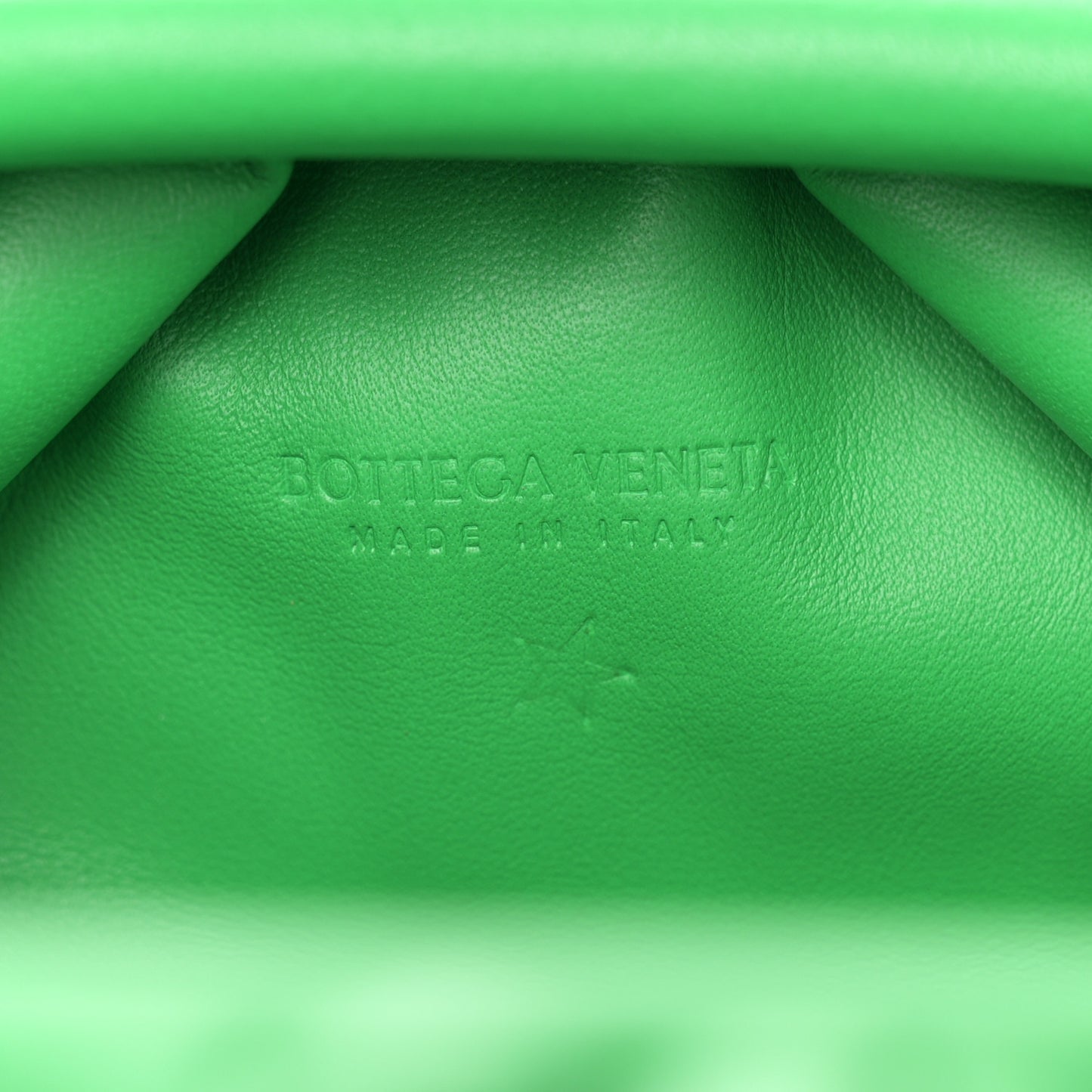 Butter Calfskin The Mini Pouch Parakeet