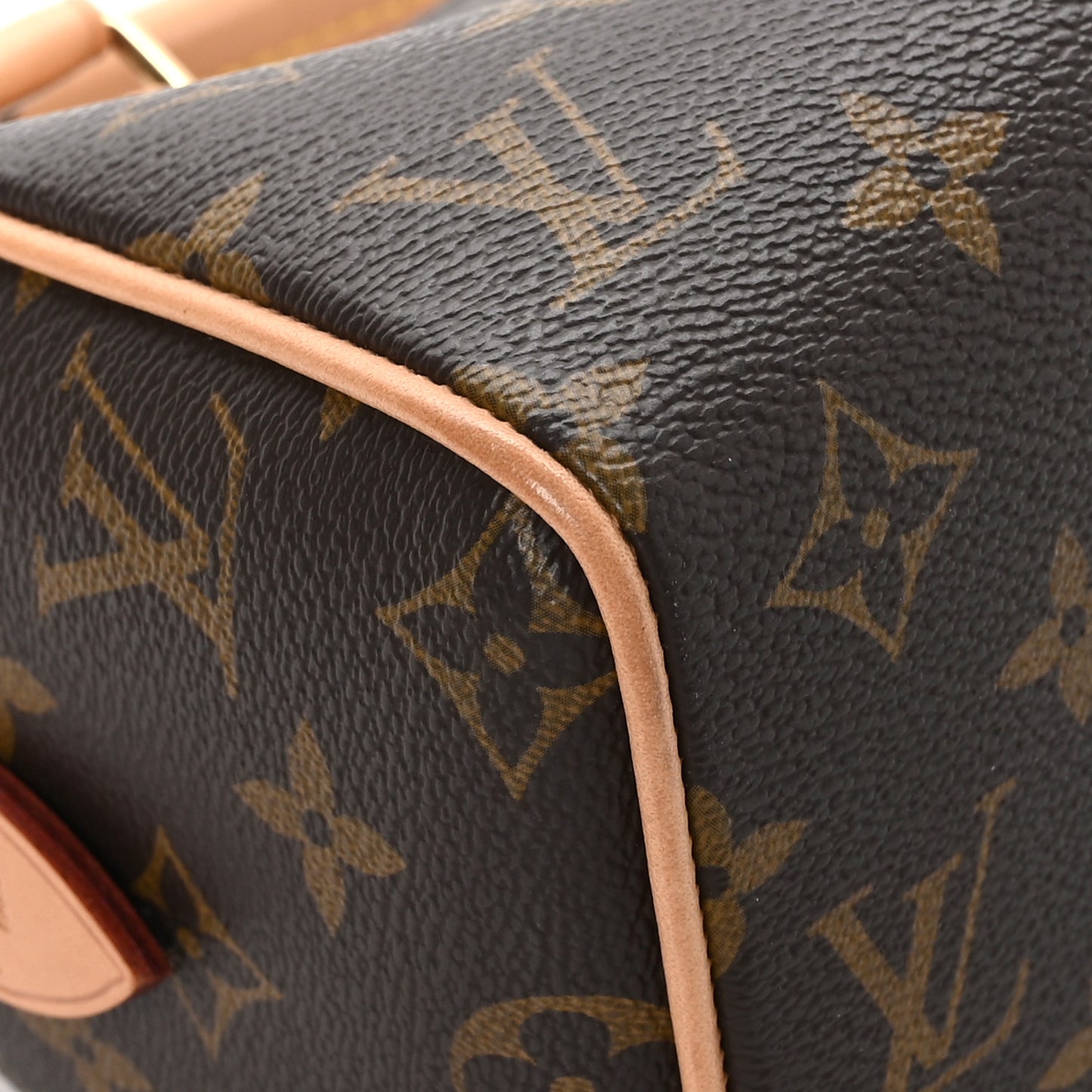 Monogram Speedy Bandouliere 20