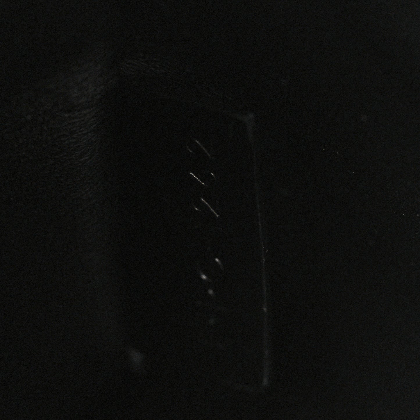 Shiny Calfskin Triomphe Bucket Bag Black