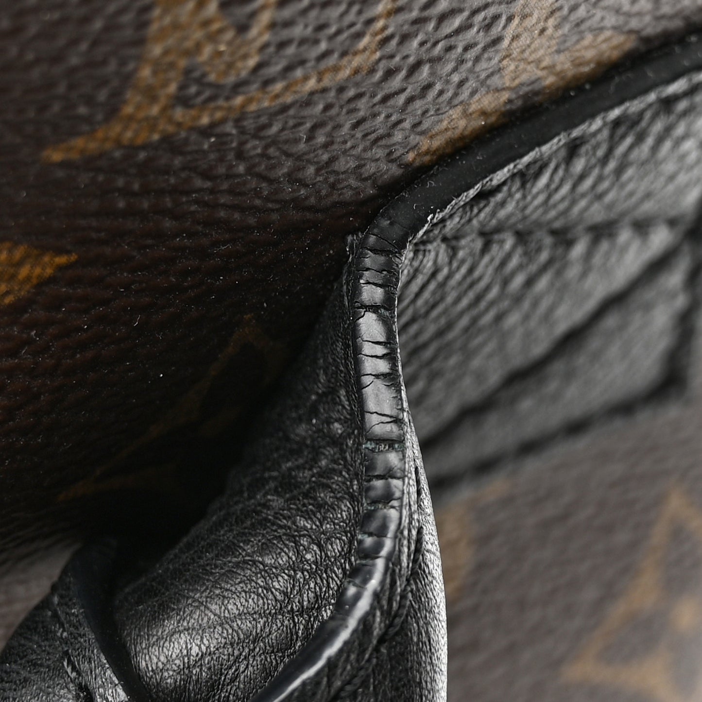 Monogram Palm Springs Backpack MM