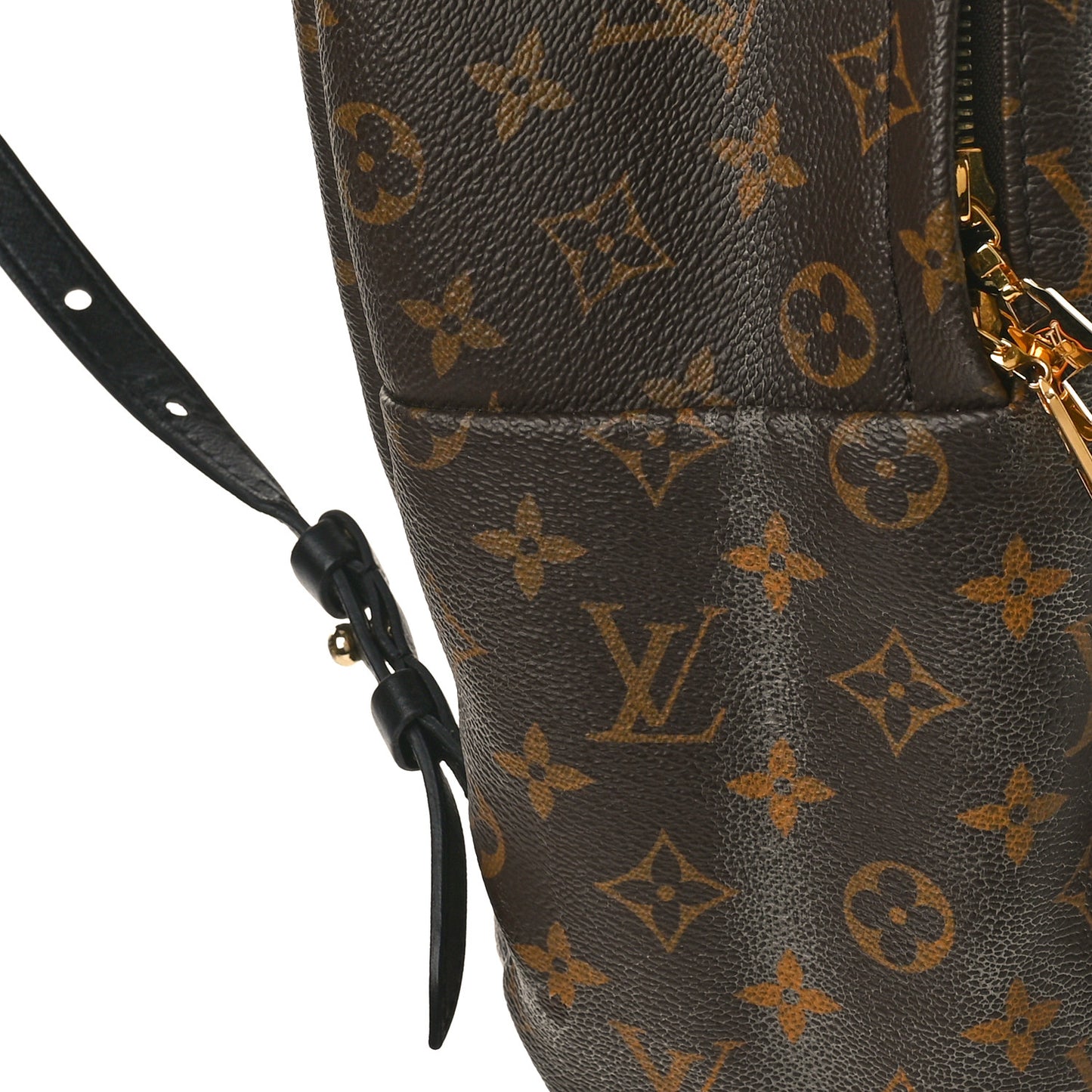 Monogram Palm Springs Backpack MM