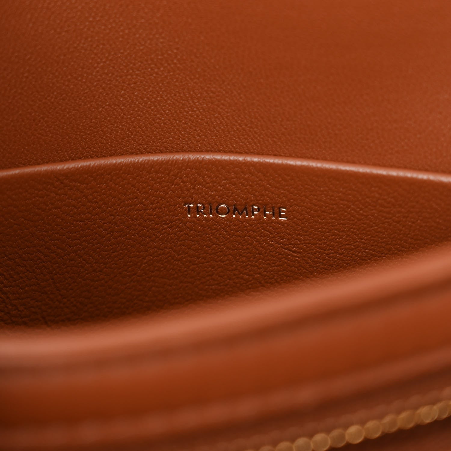 Celine Calfskin Triomphe Canvas Teen Triomphe Bag Tan 6 of 11