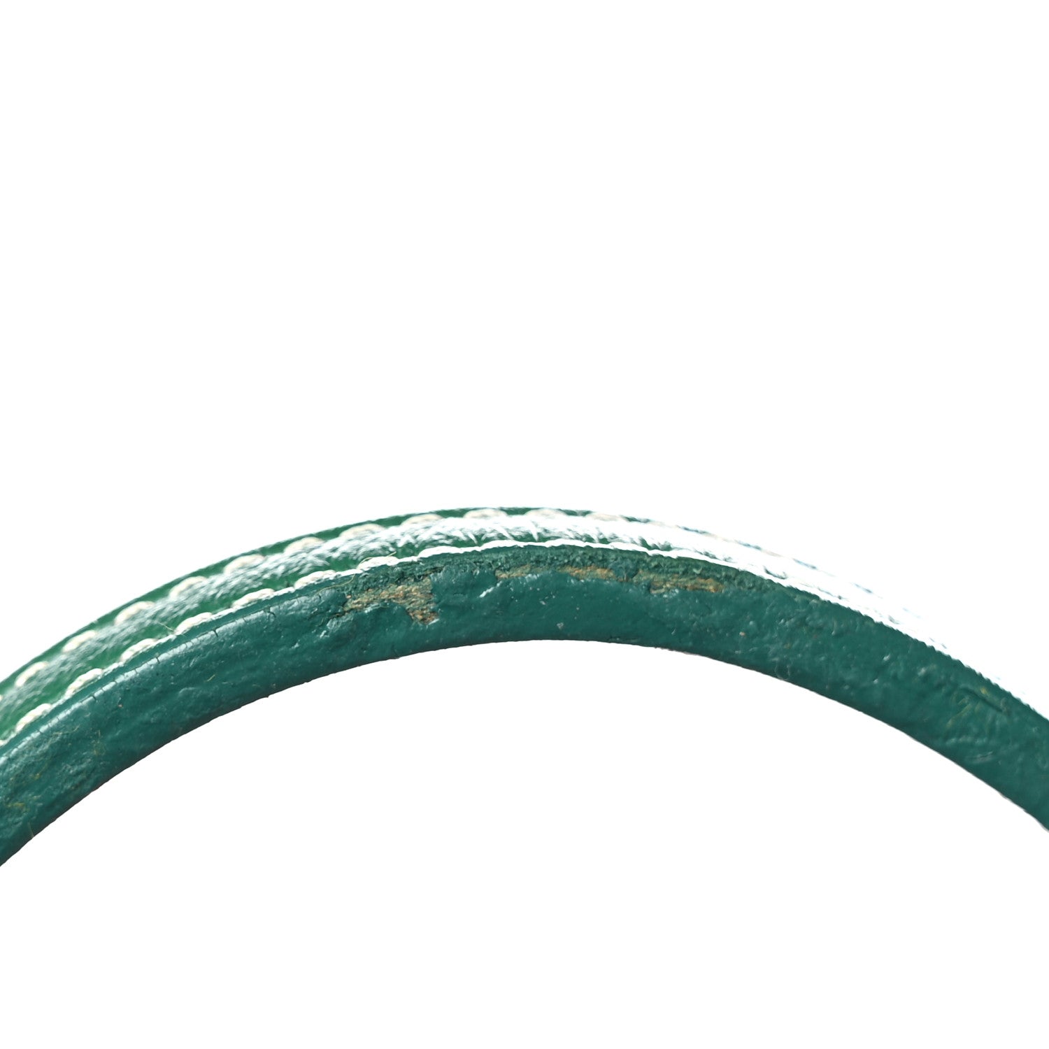 Goyard Goyardine Saint Louis GM Green 12 of 12