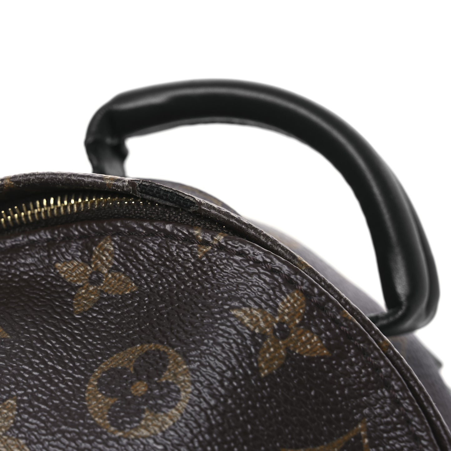 Monogram Palm Springs Backpack Mini