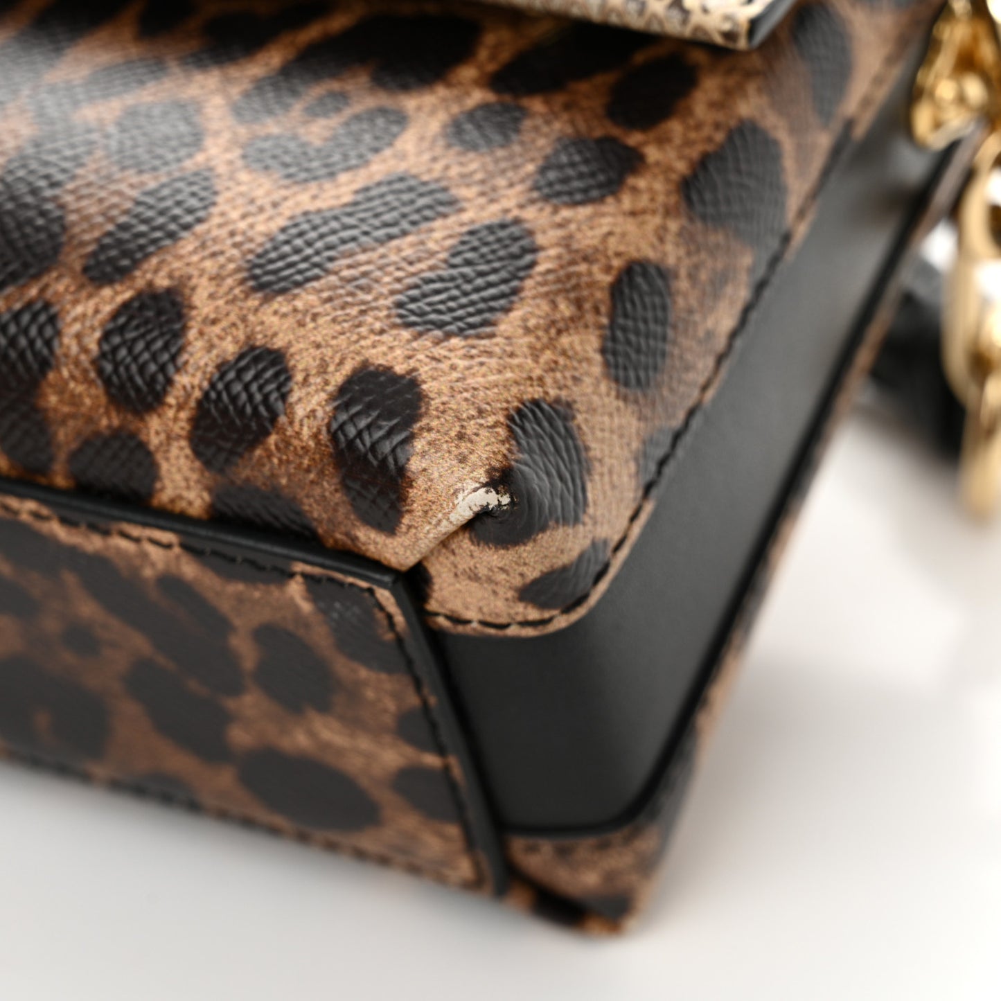 Dauphine Ayers Leopard Print Crystal Embellished DG Millennials Mini Crossbody Multicolor