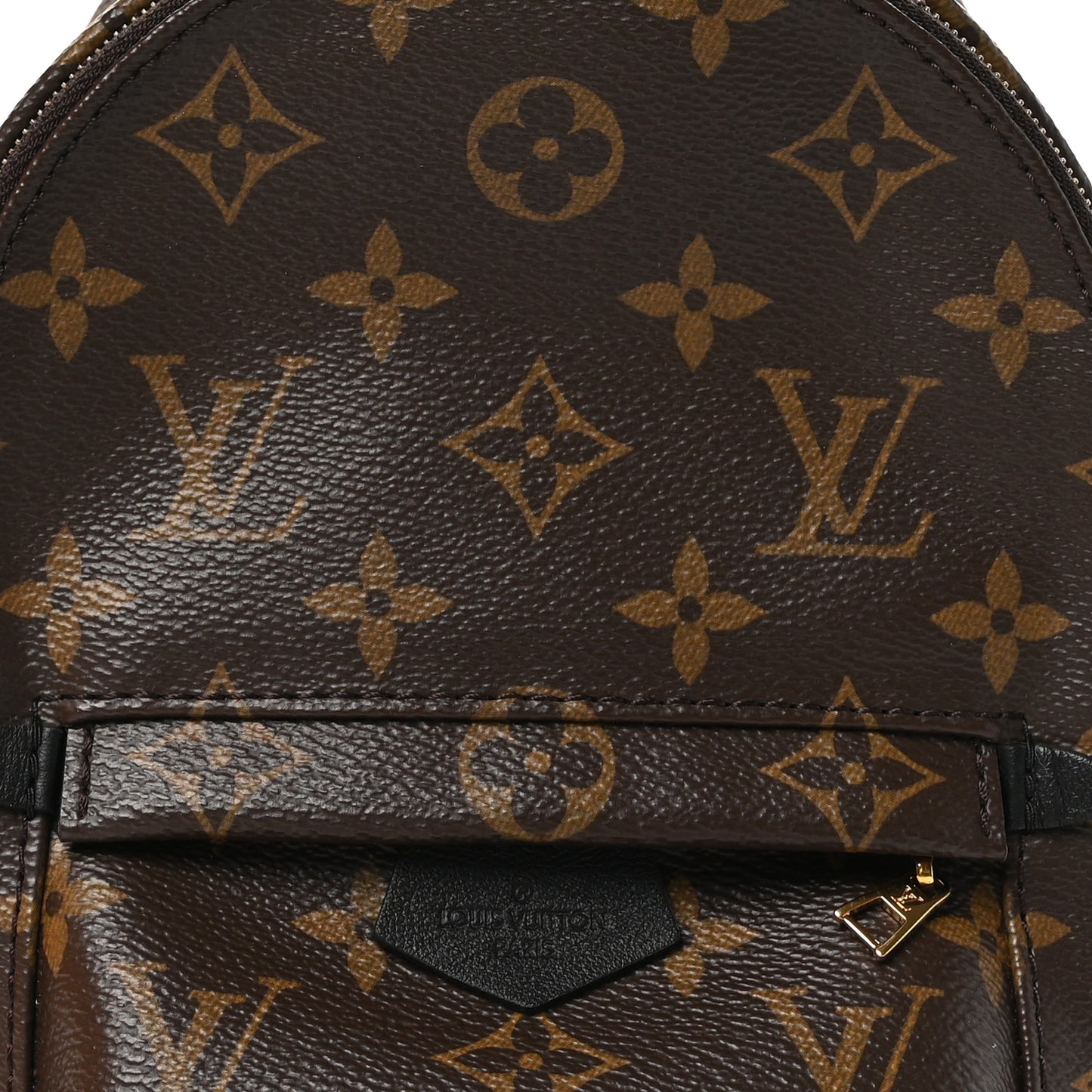 Monogram Palm Springs Backpack Mini