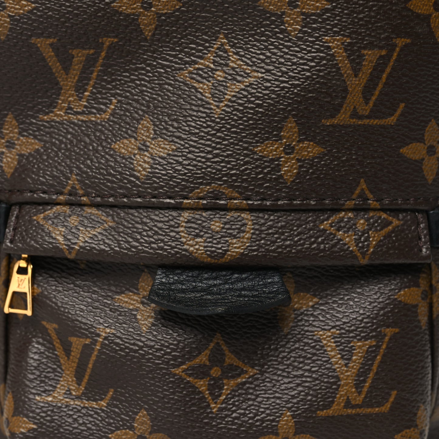 Monogram Palm Springs Backpack Mini
