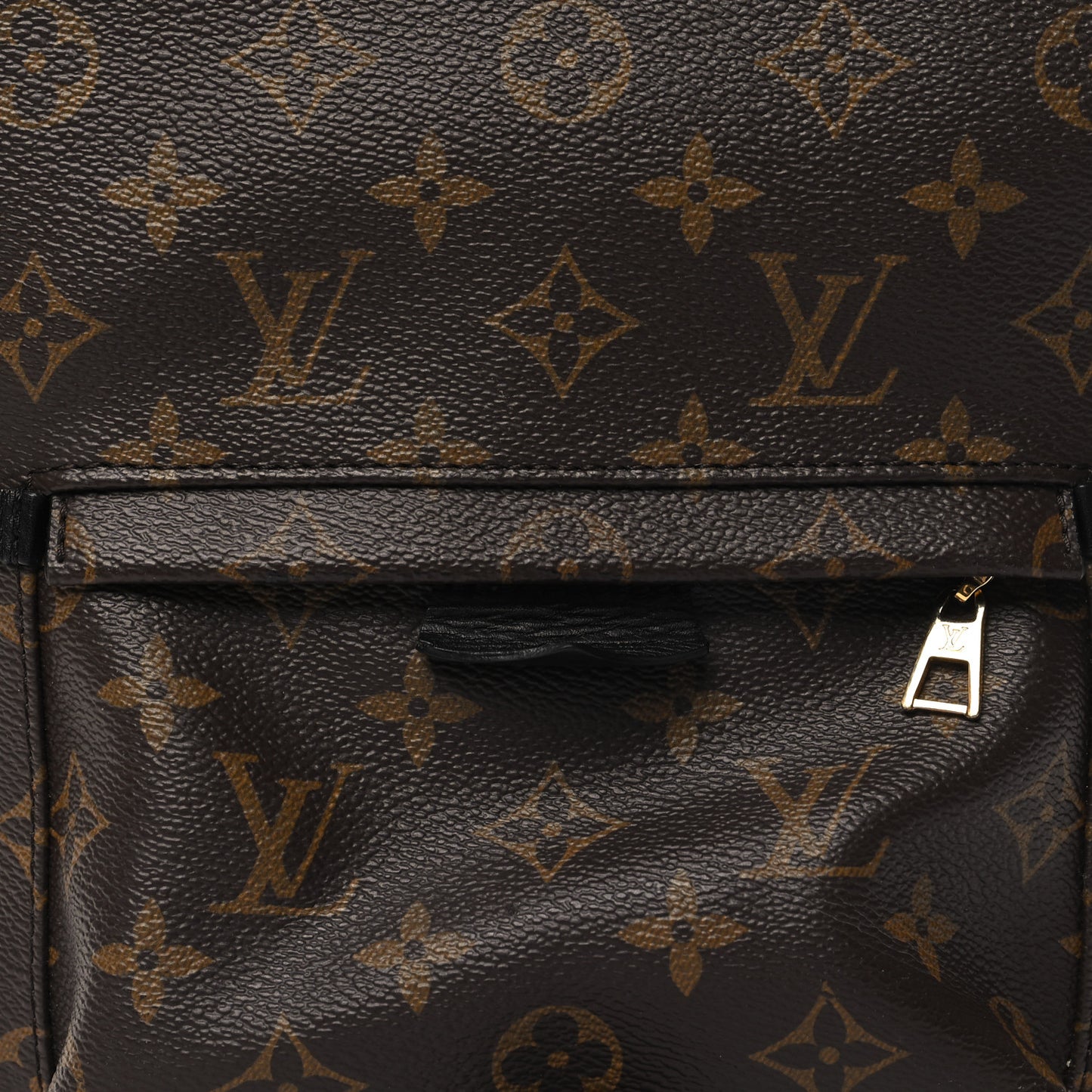 Monogram Palm Springs Backpack PM