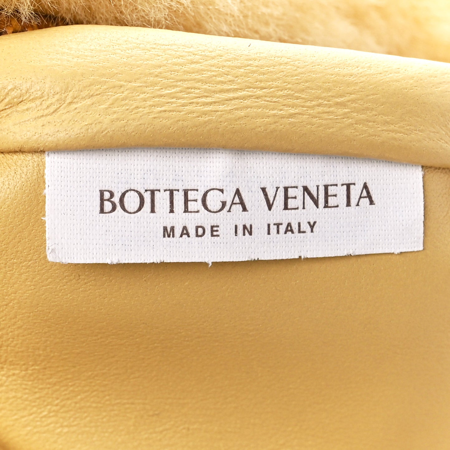 Shearling Lambskin Mini Jodie Teddy