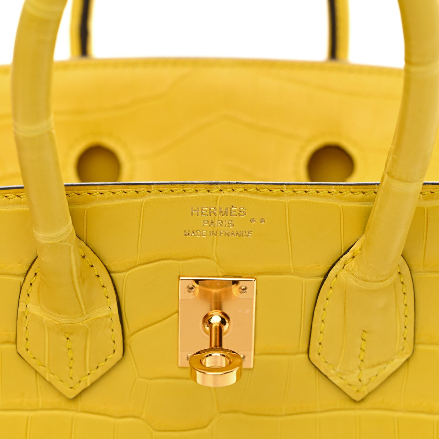 Matte Niloticus Crocodile Birkin 25 Mimosa