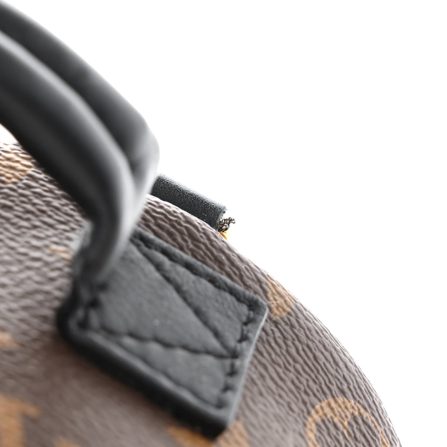 Monogram Palm Springs Backpack Mini