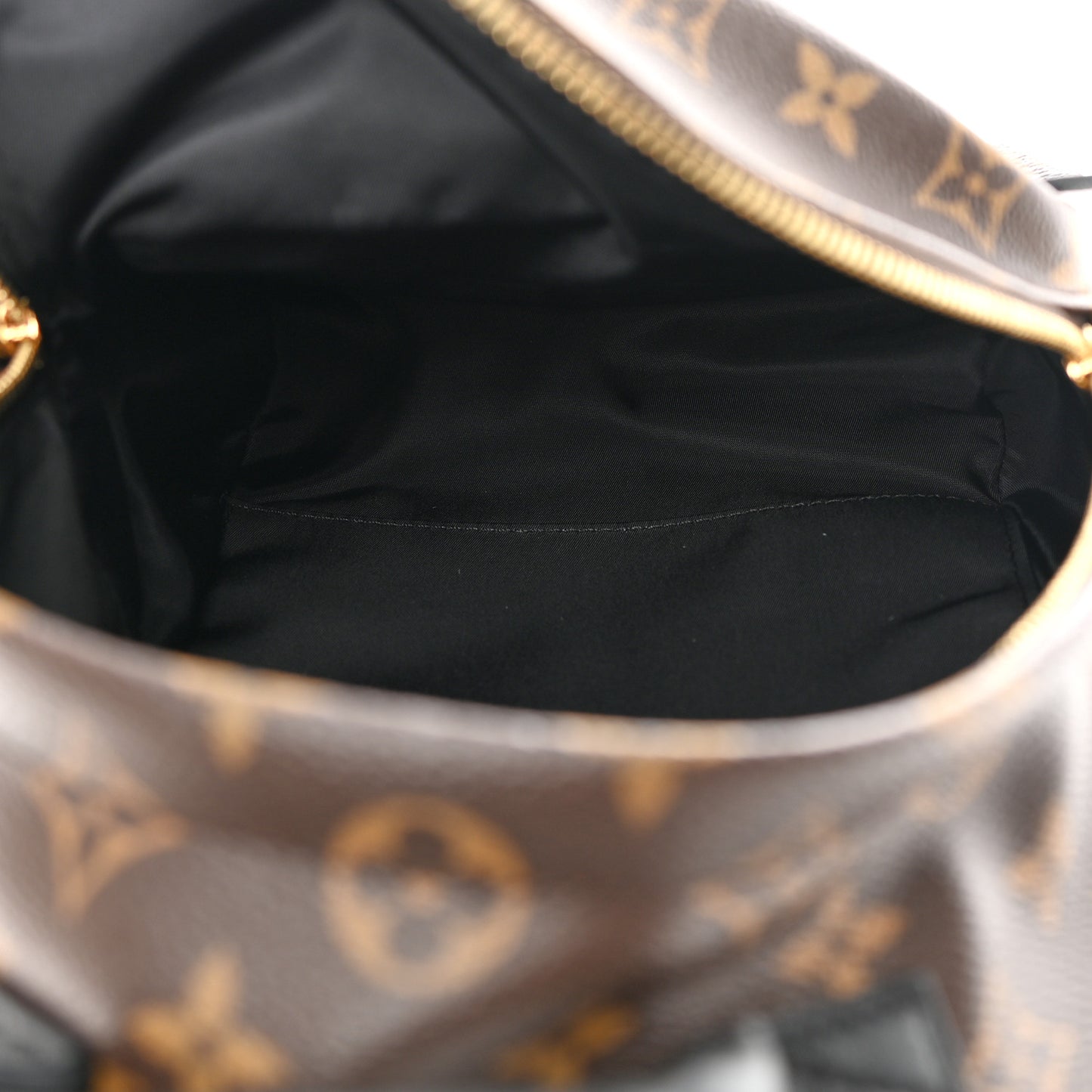 Monogram Palm Springs Backpack PM