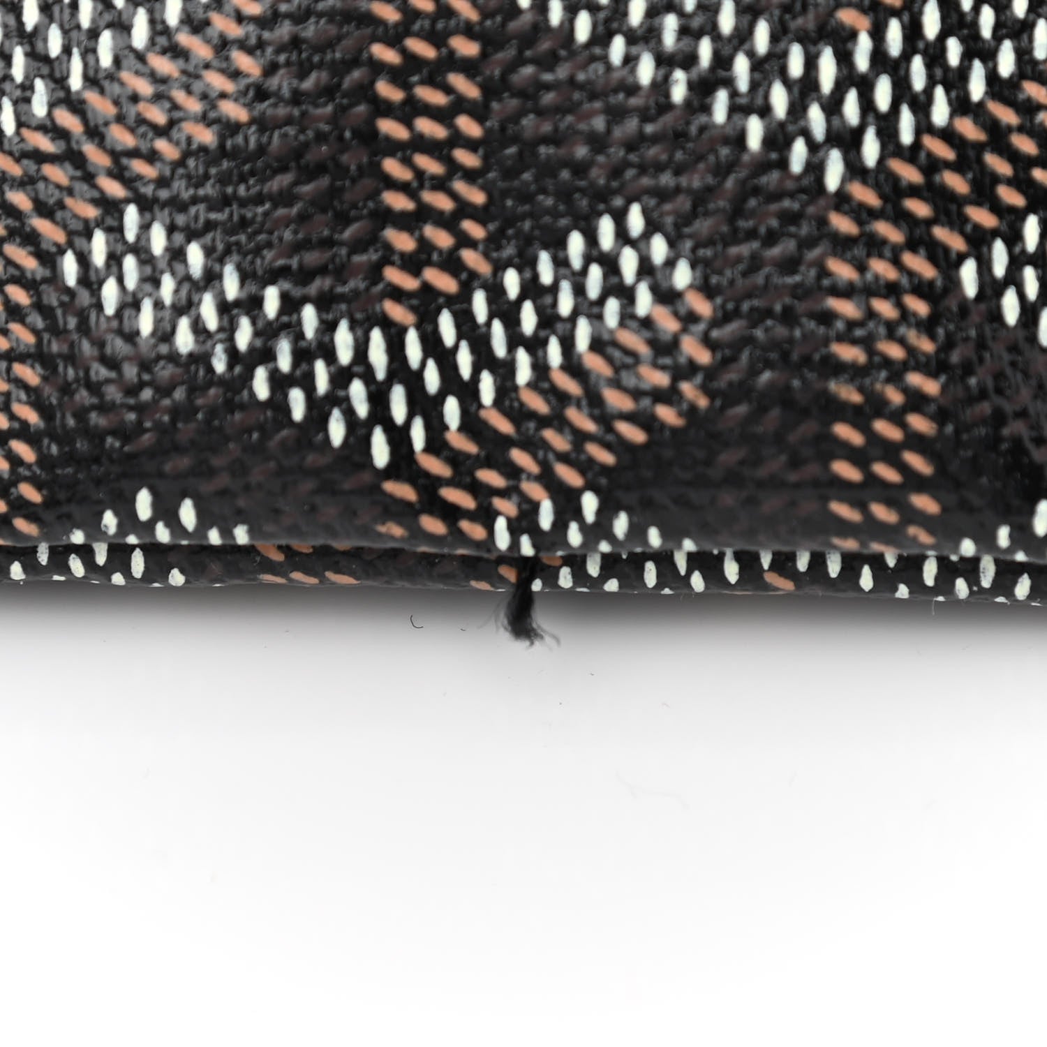 Goyard Goyardine Saint Louis PM Black 14 of 14