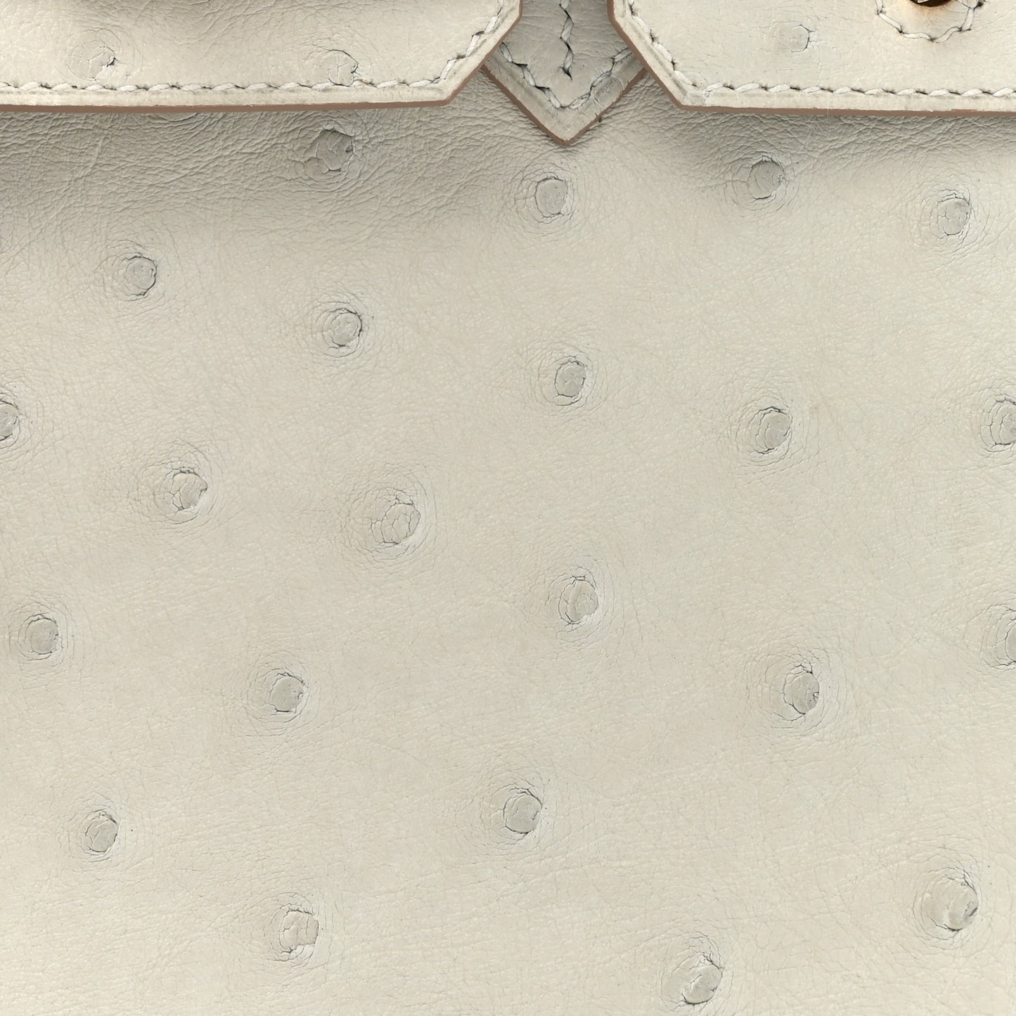 Ostrich Birkin 25 Gris Perle