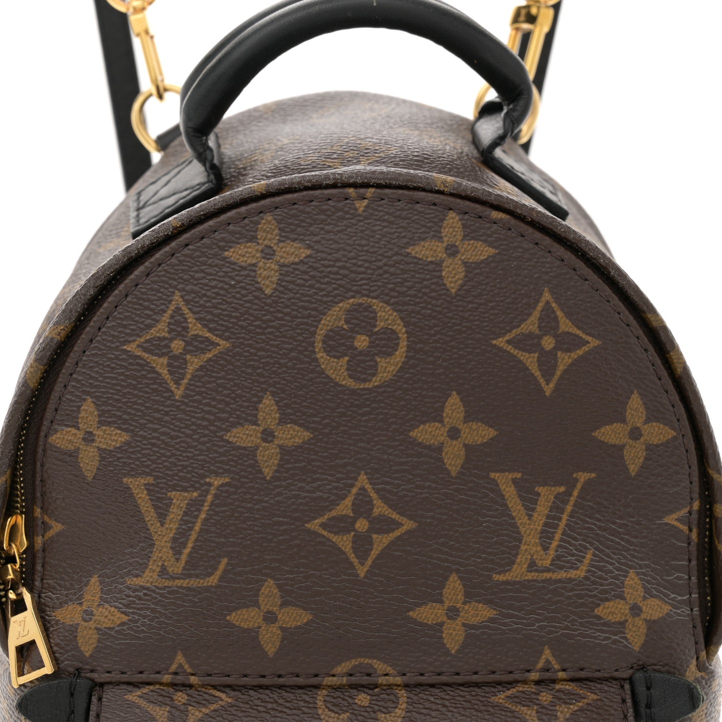 Monogram Palm Springs Backpack Mini