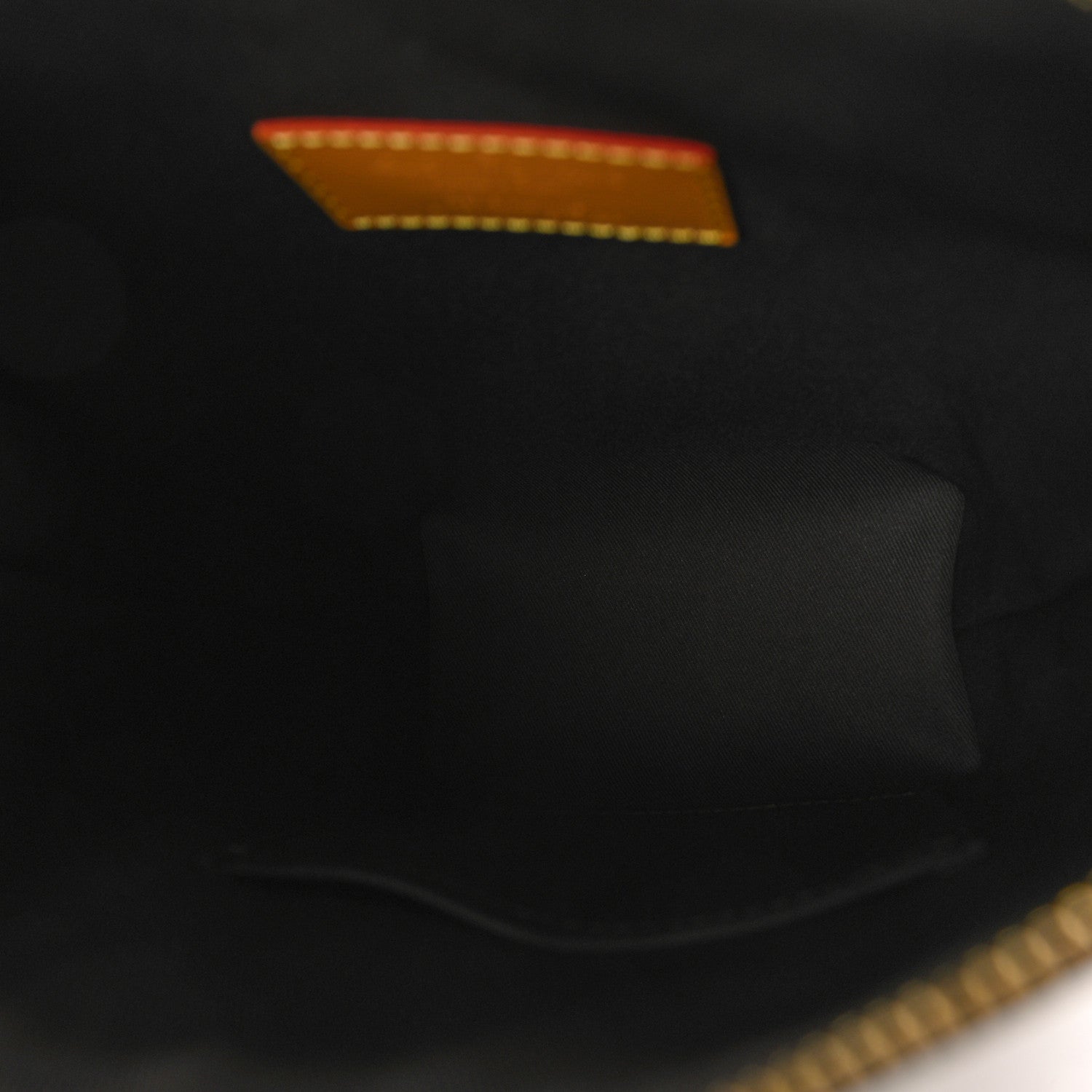 Louis Vuitton Monogram Blurry Hobo Cruiser PM 5 of 9