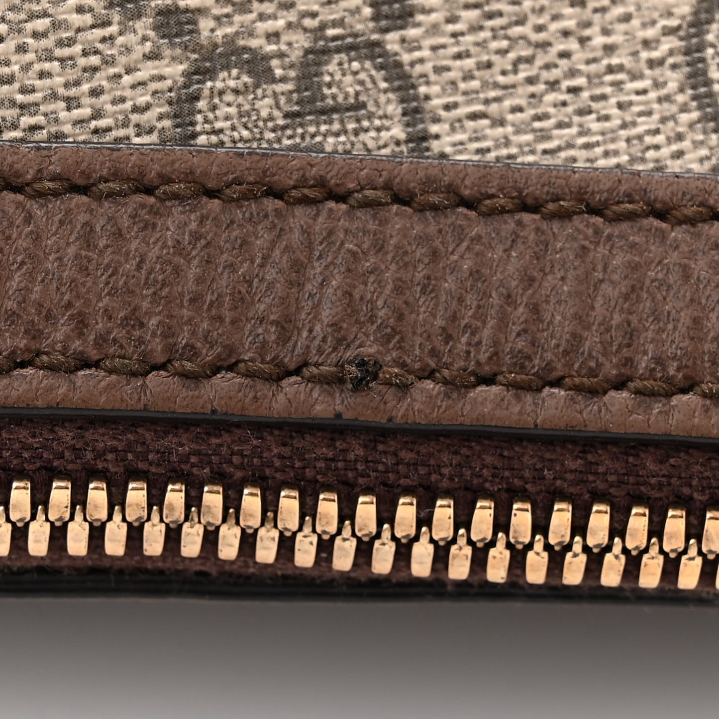 GG Supreme Monogram Web Small Ophidia Half Moon Hobo Brown