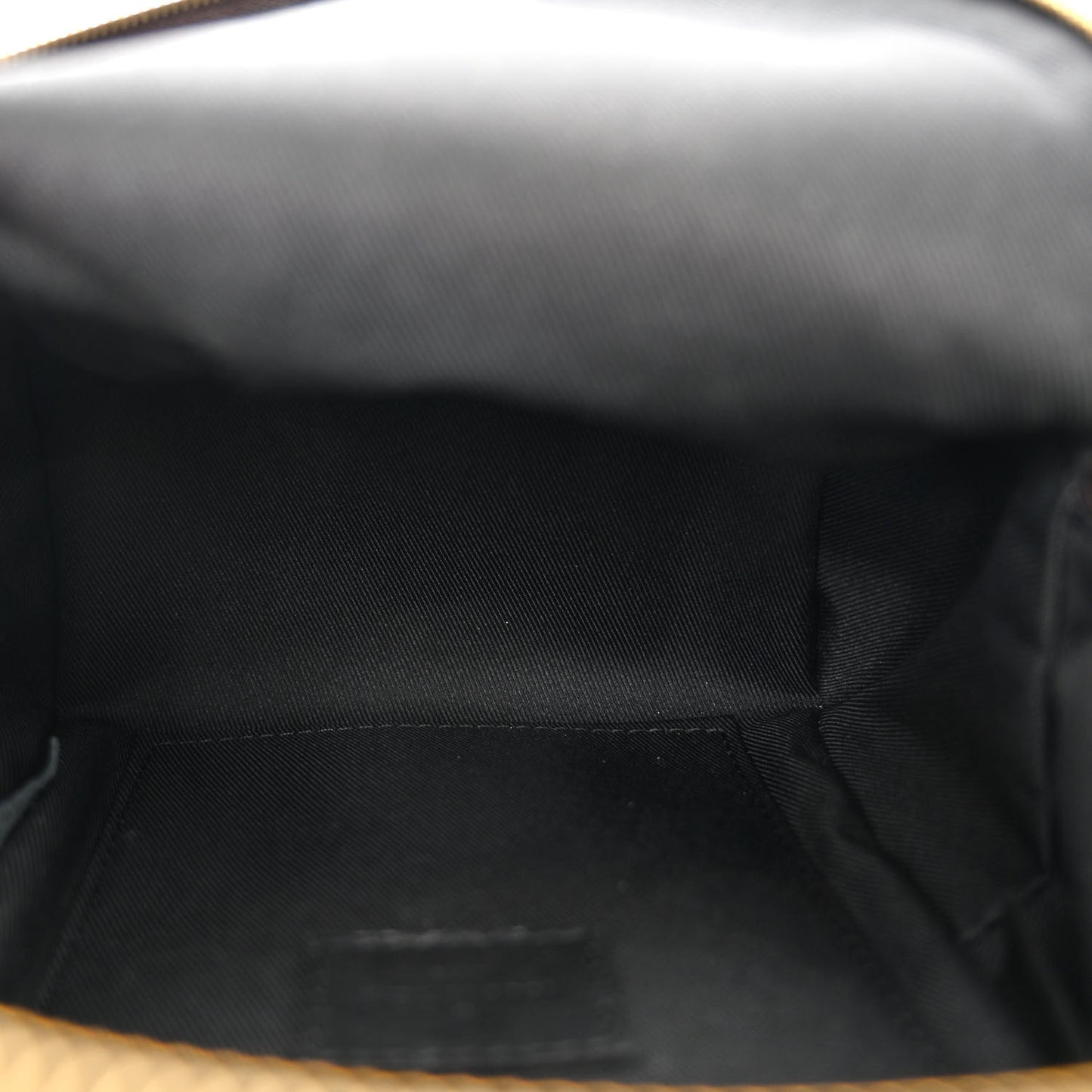 Monogram Palm Springs Backpack Mini