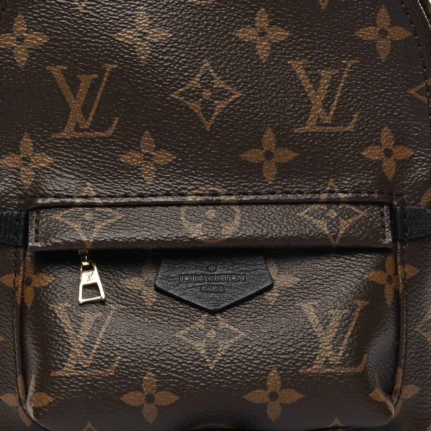 Louis Vuitton Monogram Palm Springs Backpack Mini 7 of 9