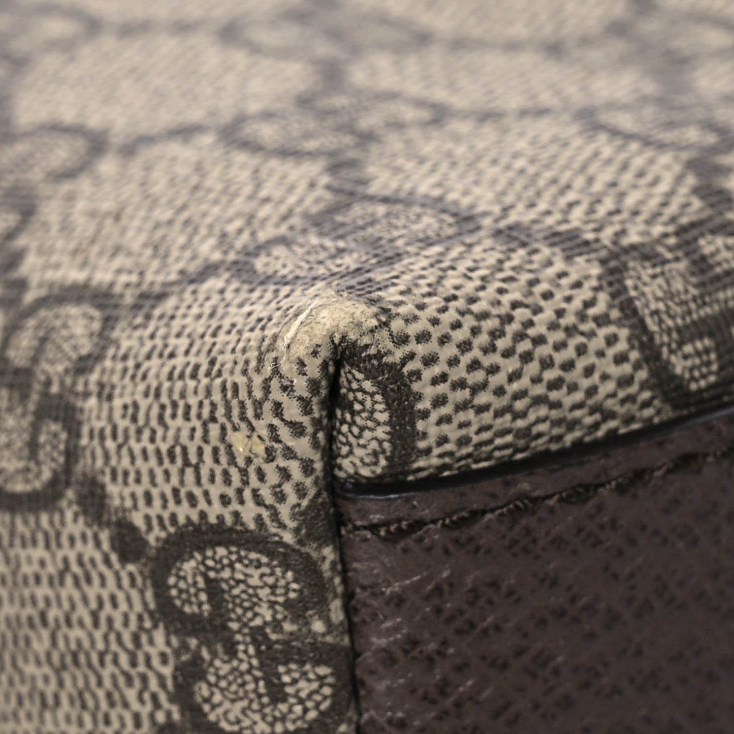 GG Supreme Monogram Textured Dollar Calfskin Web Small Ophidia Dome Shoulder Bag Beige Ebony New Acero