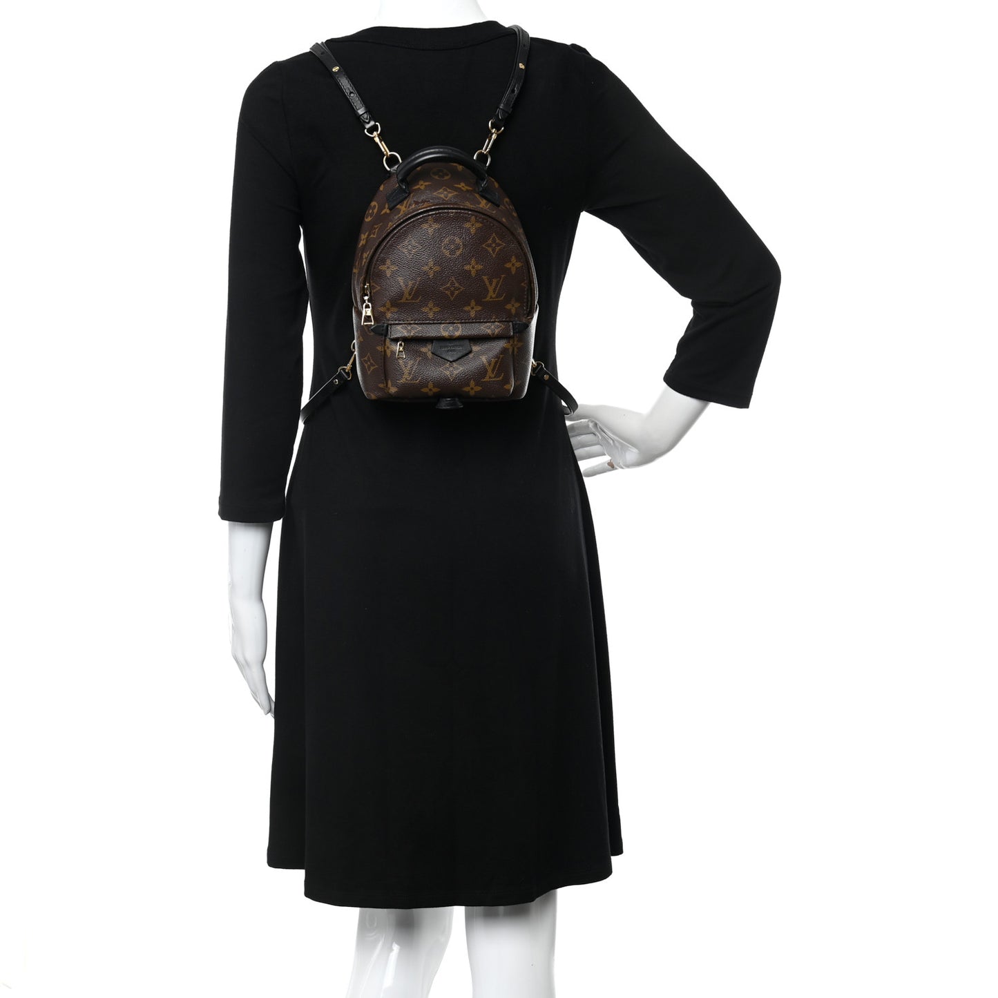 Monogram Palm Springs Backpack Mini