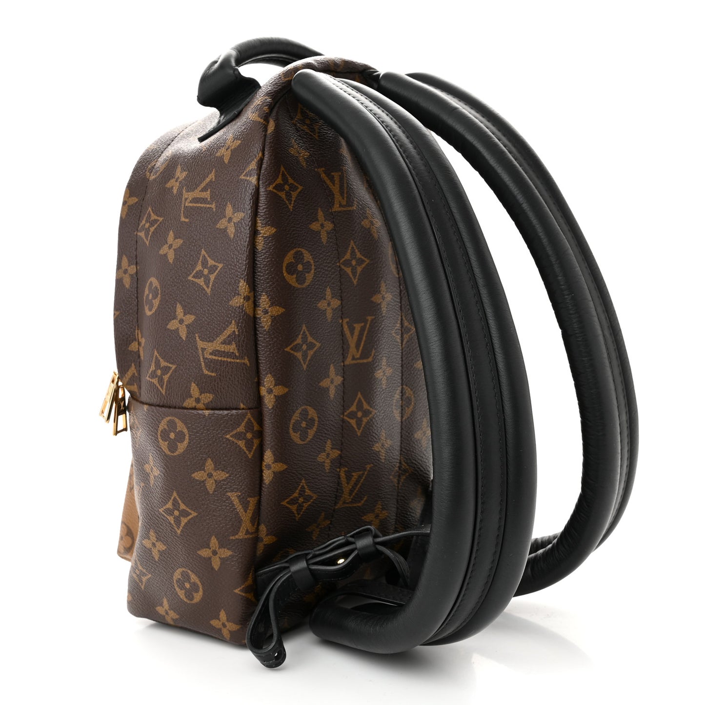 Reverse Monogram Palm Springs Backpack PM