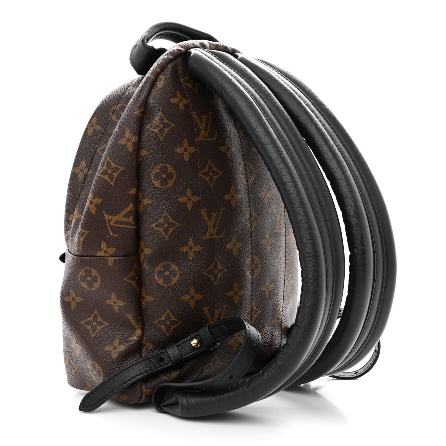 Louis Vuitton Monogram Palm Springs Backpack PM 3 of 12