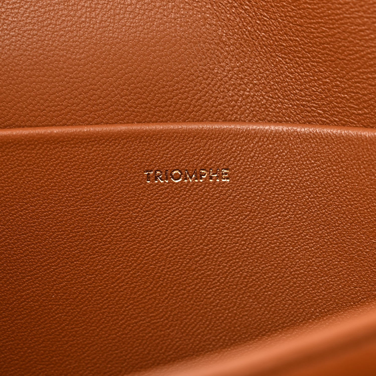 Celine Natural Calfskin Leopard Print Triomphe Jacquard Canvas Medium Triomphe Bag Natural Tan 9 of 12