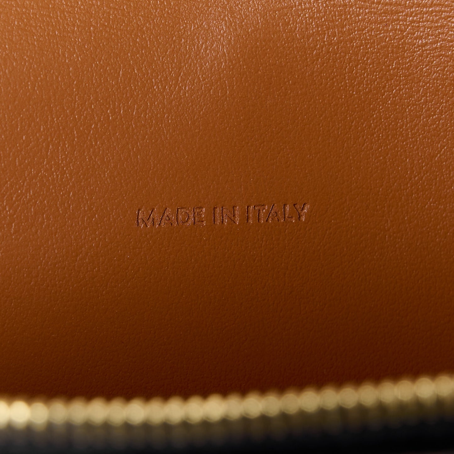 Triomphe Canvas Lambskin Wallet On Strap Tan