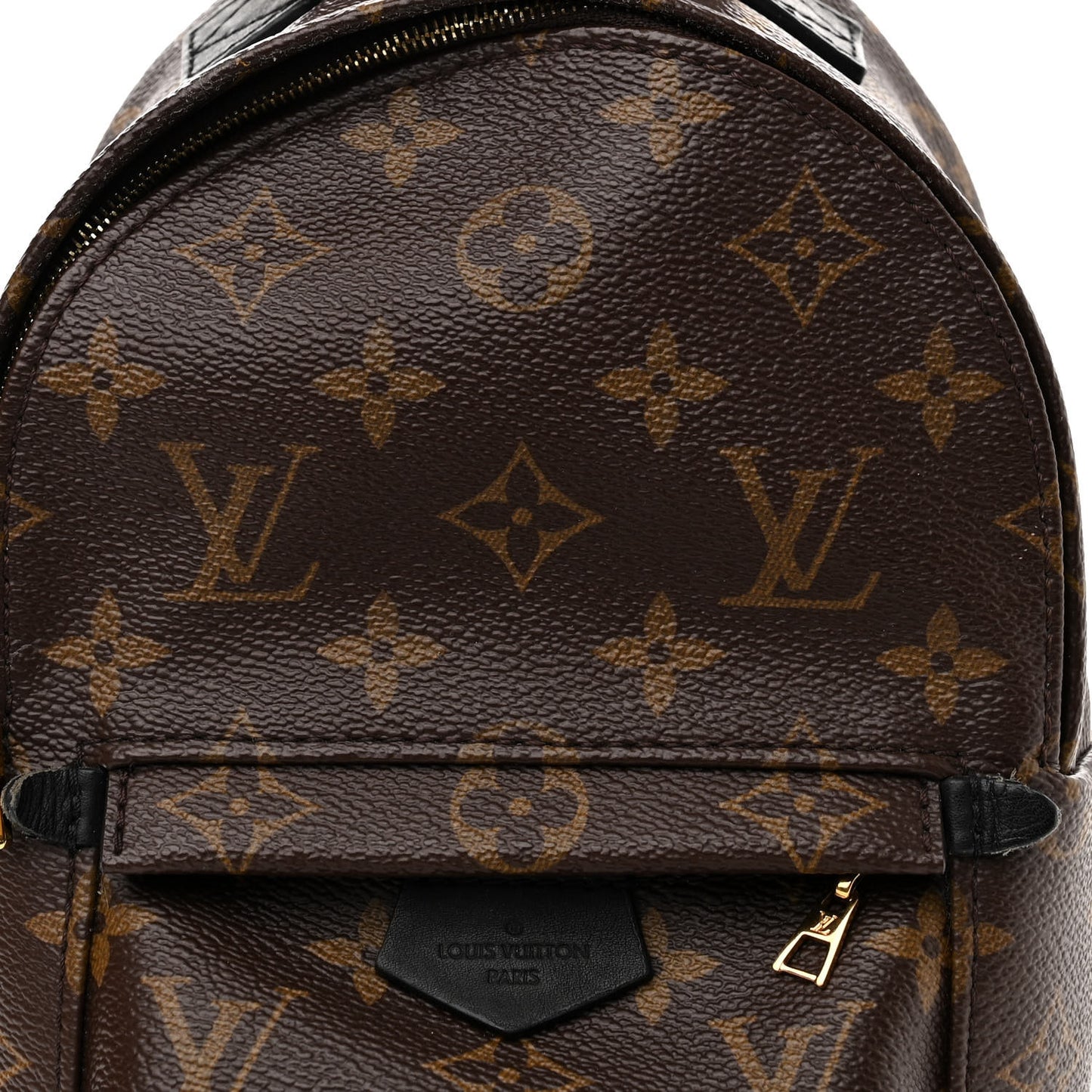 Monogram Palm Springs Backpack Mini