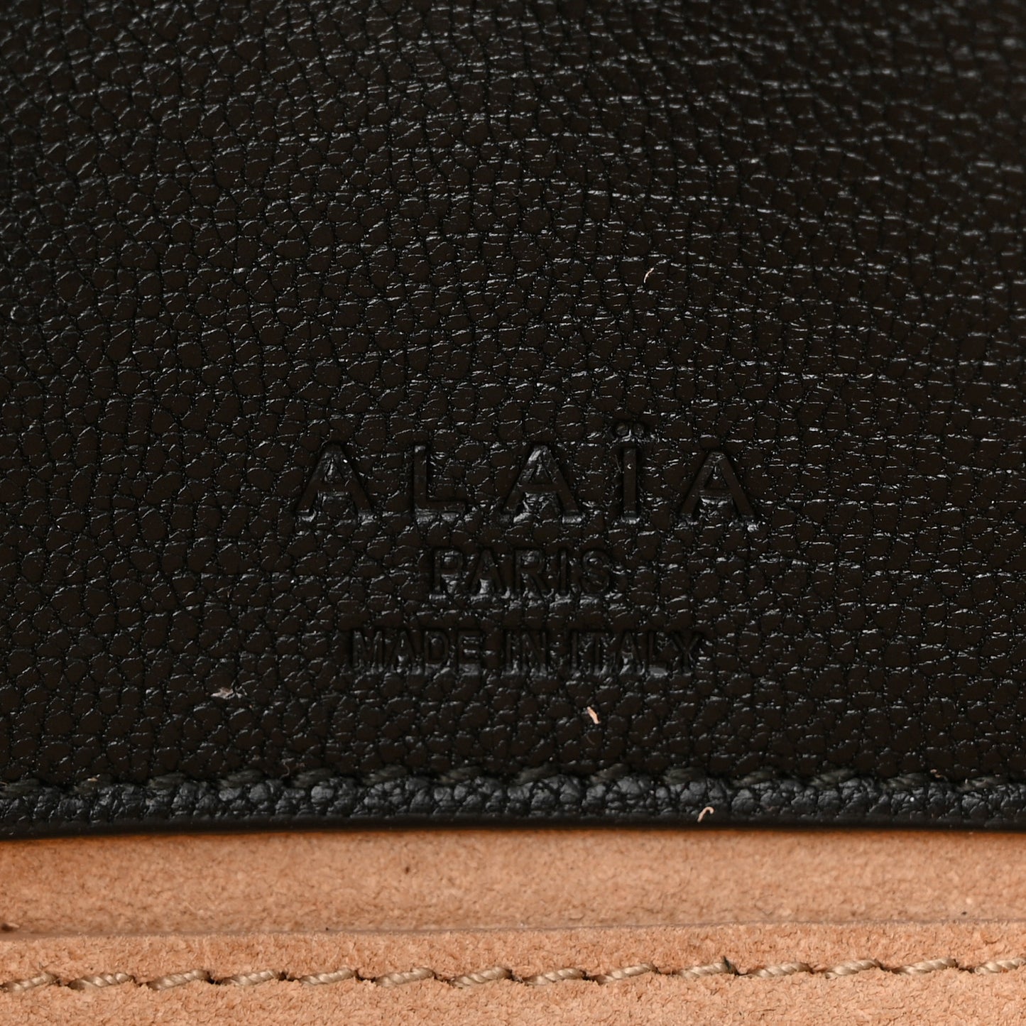 Goatskin Small Le Teckel Bag Black