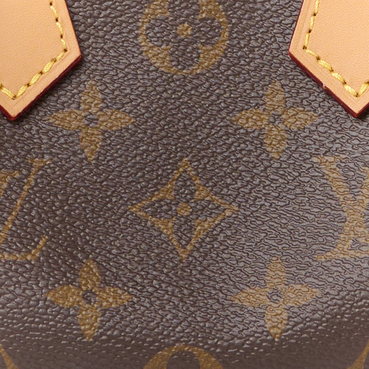 Monogram Nano Speedy Bandouliere