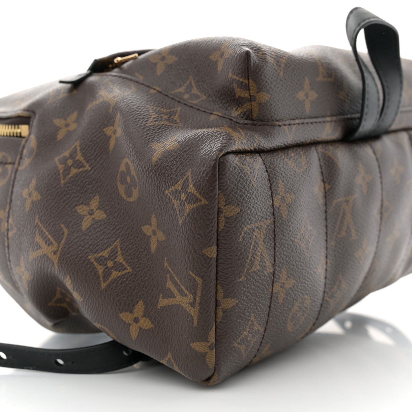 Monogram Palm Springs Backpack MM