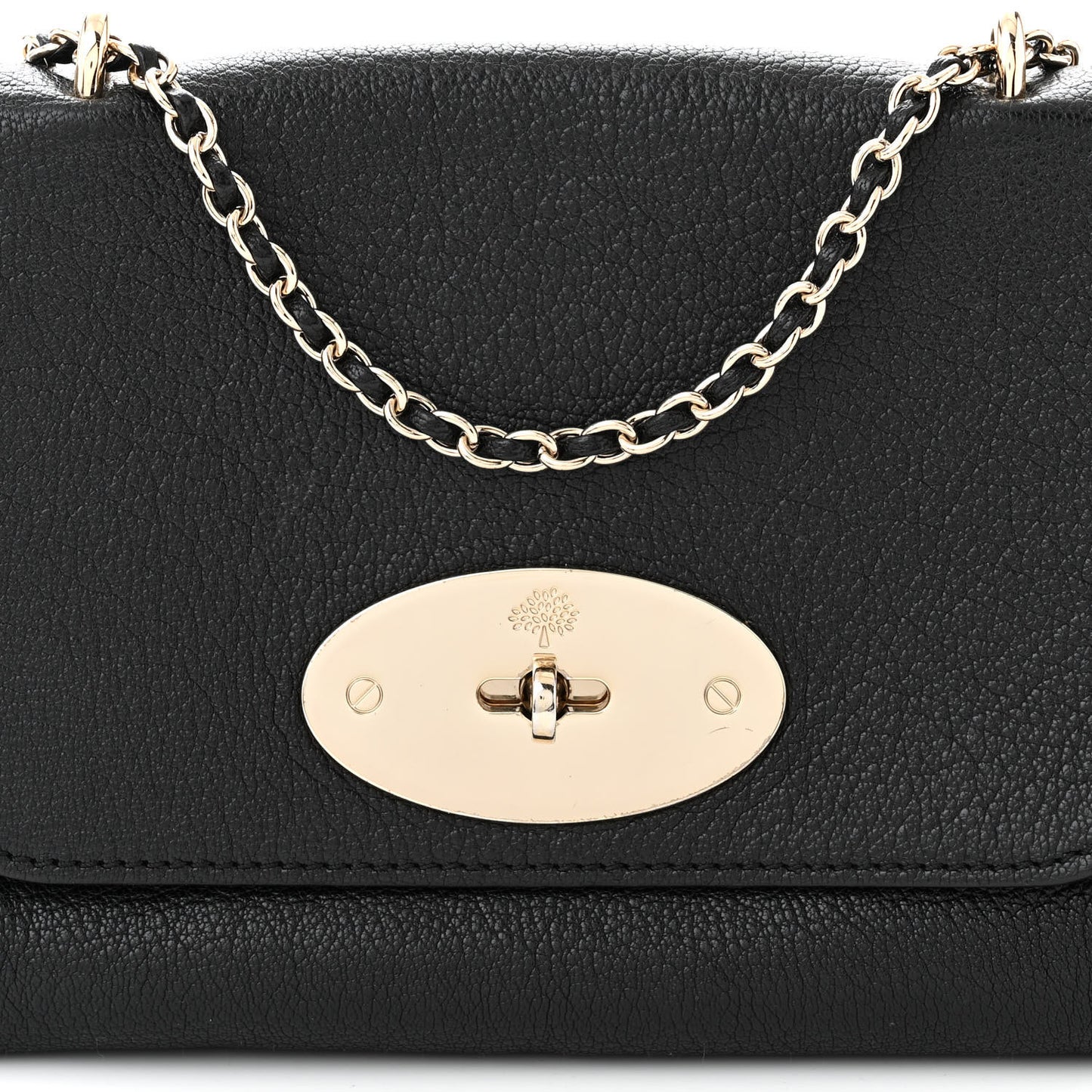 Glossy Goatskin Small Lily Flap Black