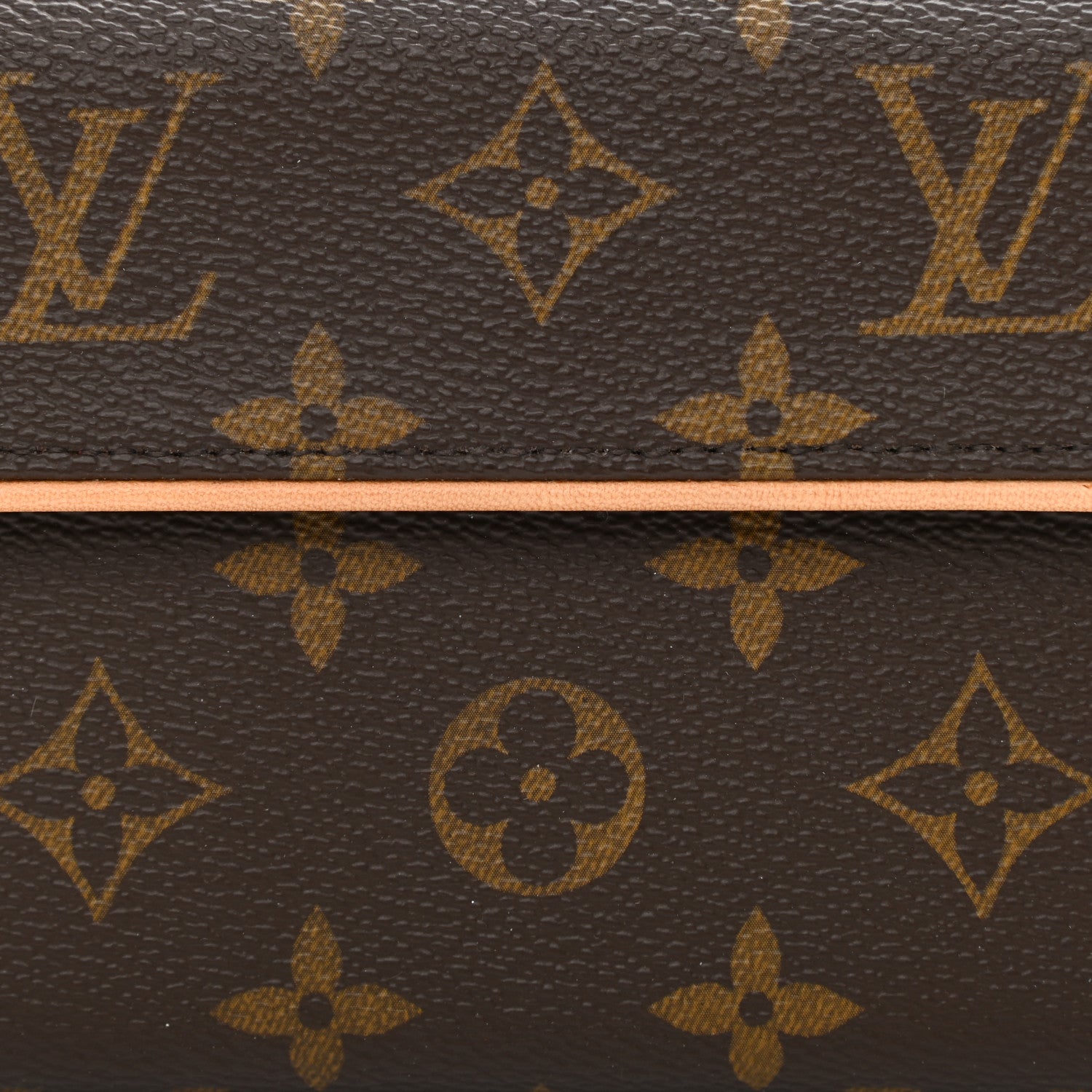 Louis Vuitton Monogram Pochette Florentine L 9 of 10