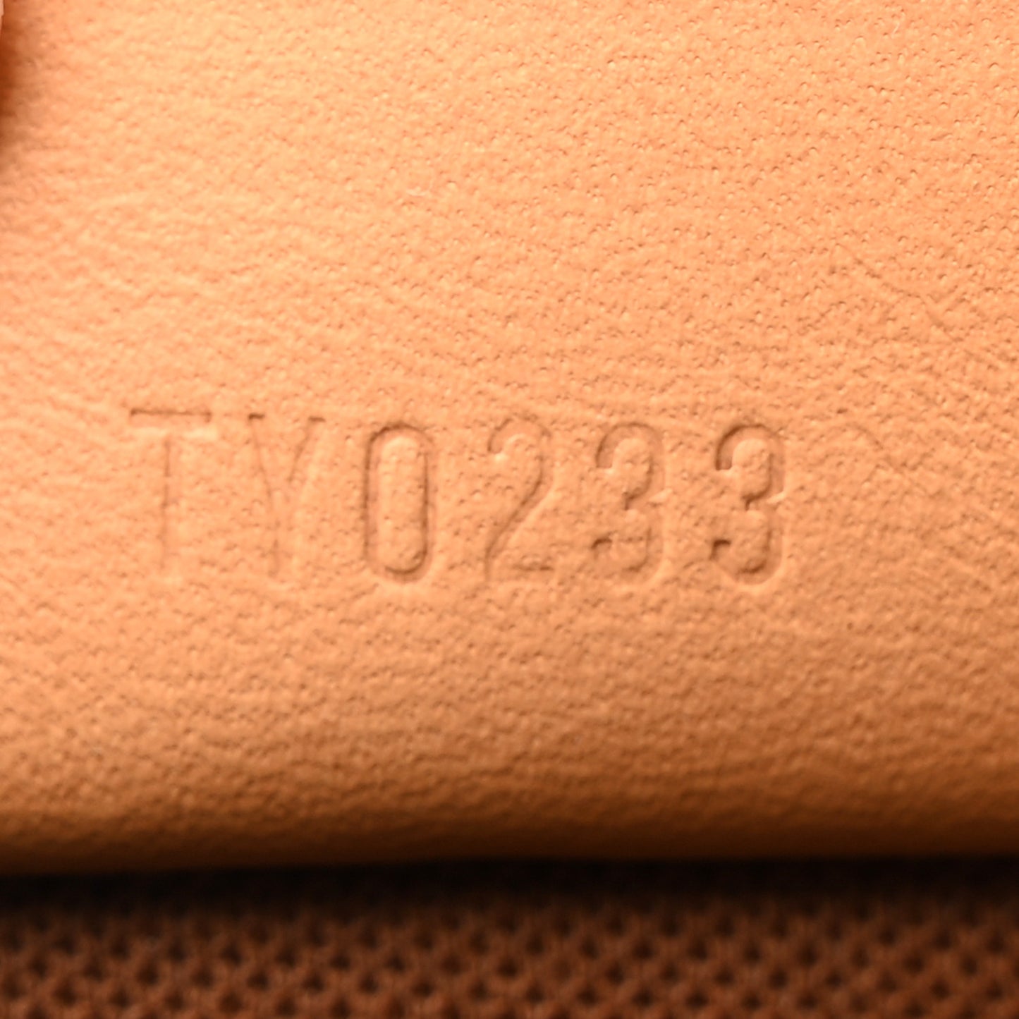 LOUIS VUITTON Monogram Nano Speedy Bandouliere